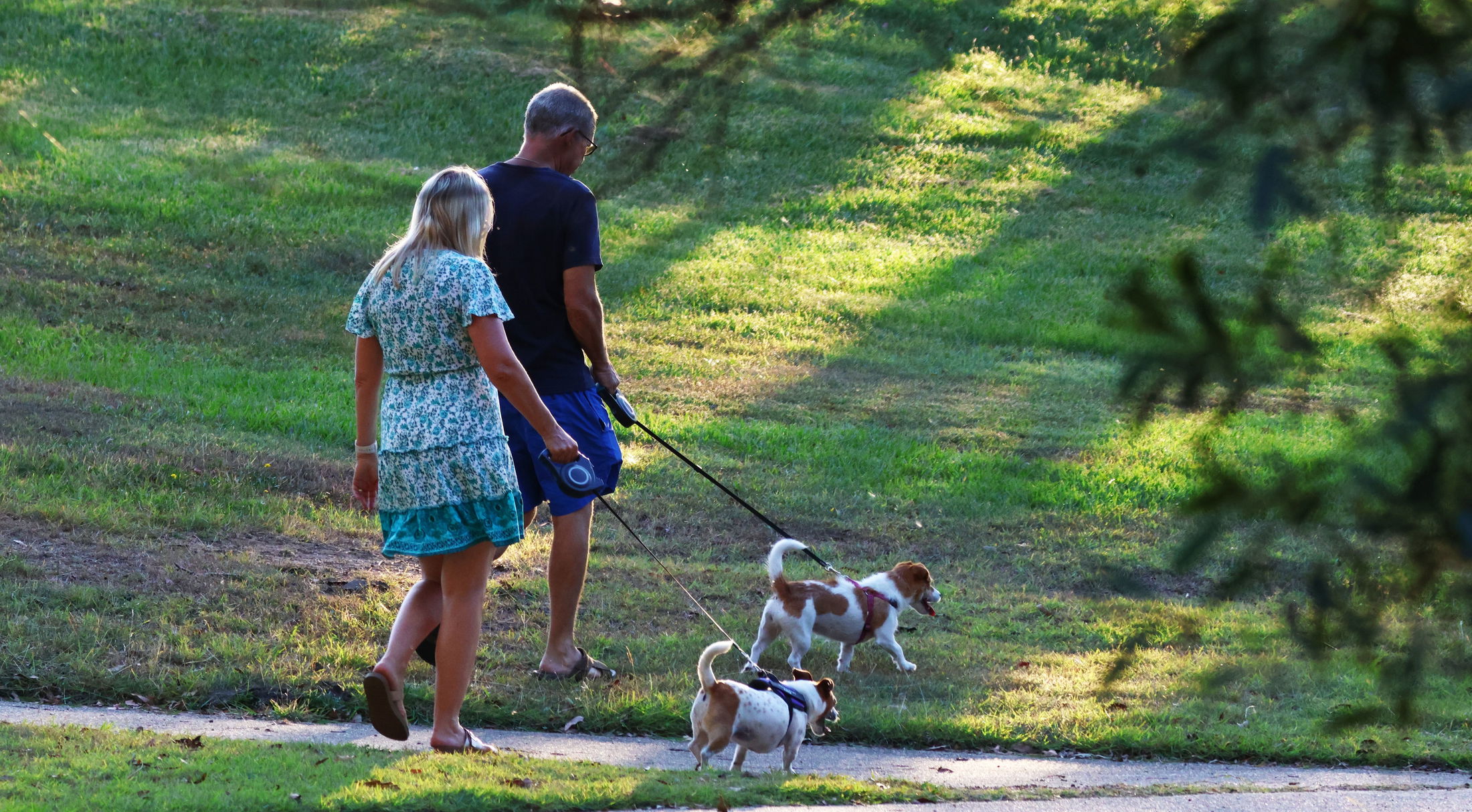 a couple walking two dogs on a trail in lady lake, fl