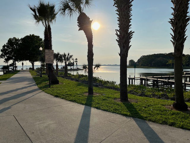 Sunset view of a serene lakeside walkway lined with palm trees, with silhouettes reflecting on the water.