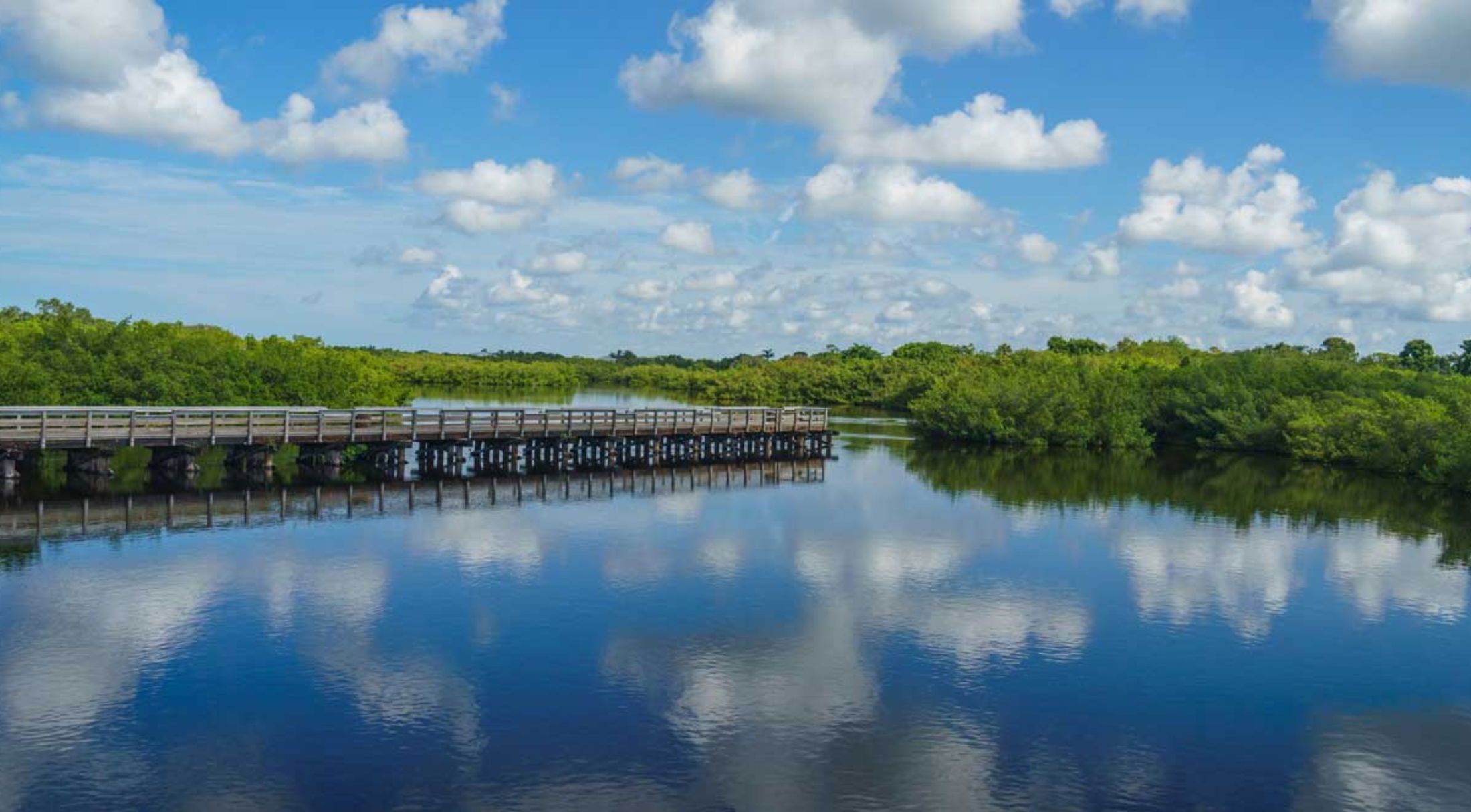 A serene wooden boardwalk stretches over a reflective lake surrounded by lush greenery and a bright blue sky with fluffy clouds.