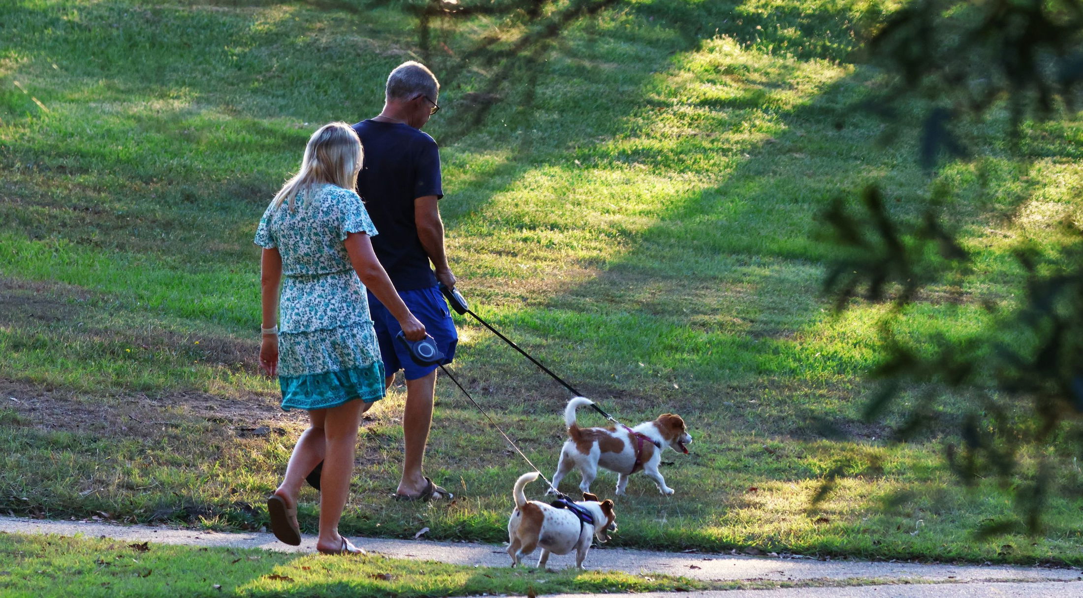 two adults walking two dogs in lakeland, fl