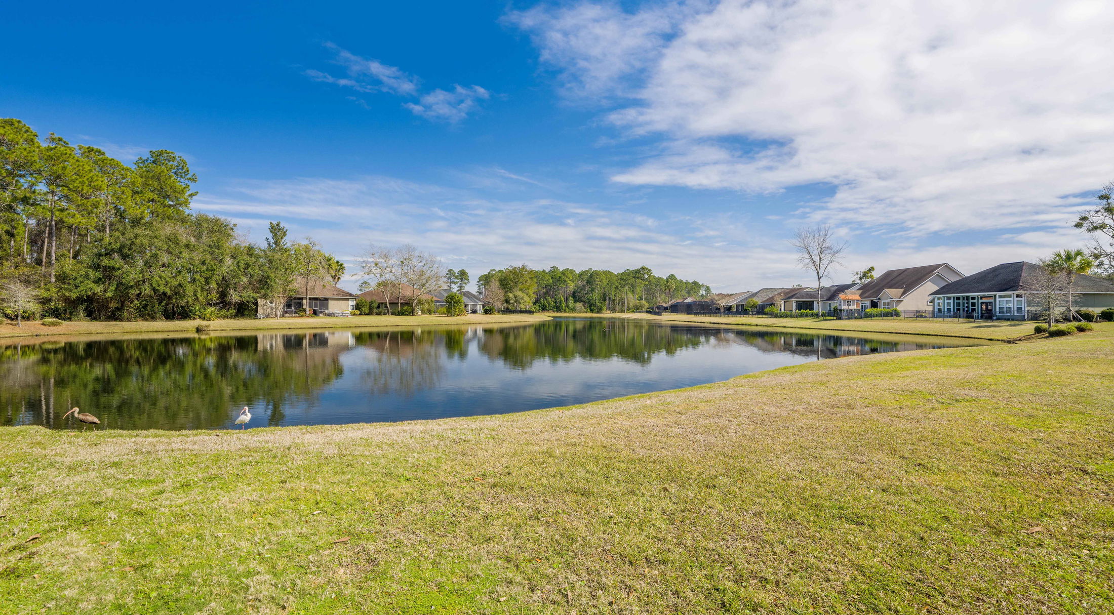 community pond in a new home development in st. marys, ga