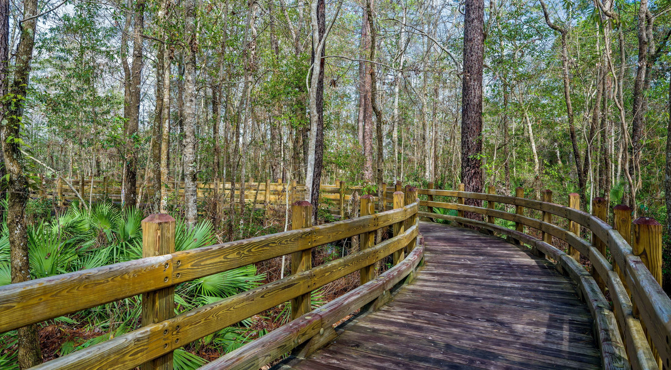 a wooden path on a nature trail in st. marys, ga
