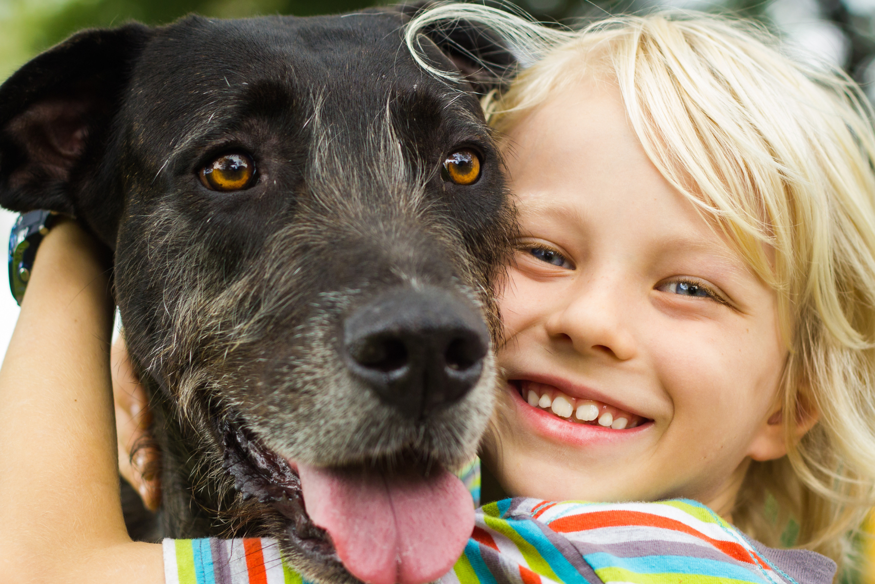 Smiling child hugging a happy black dog outdoors.