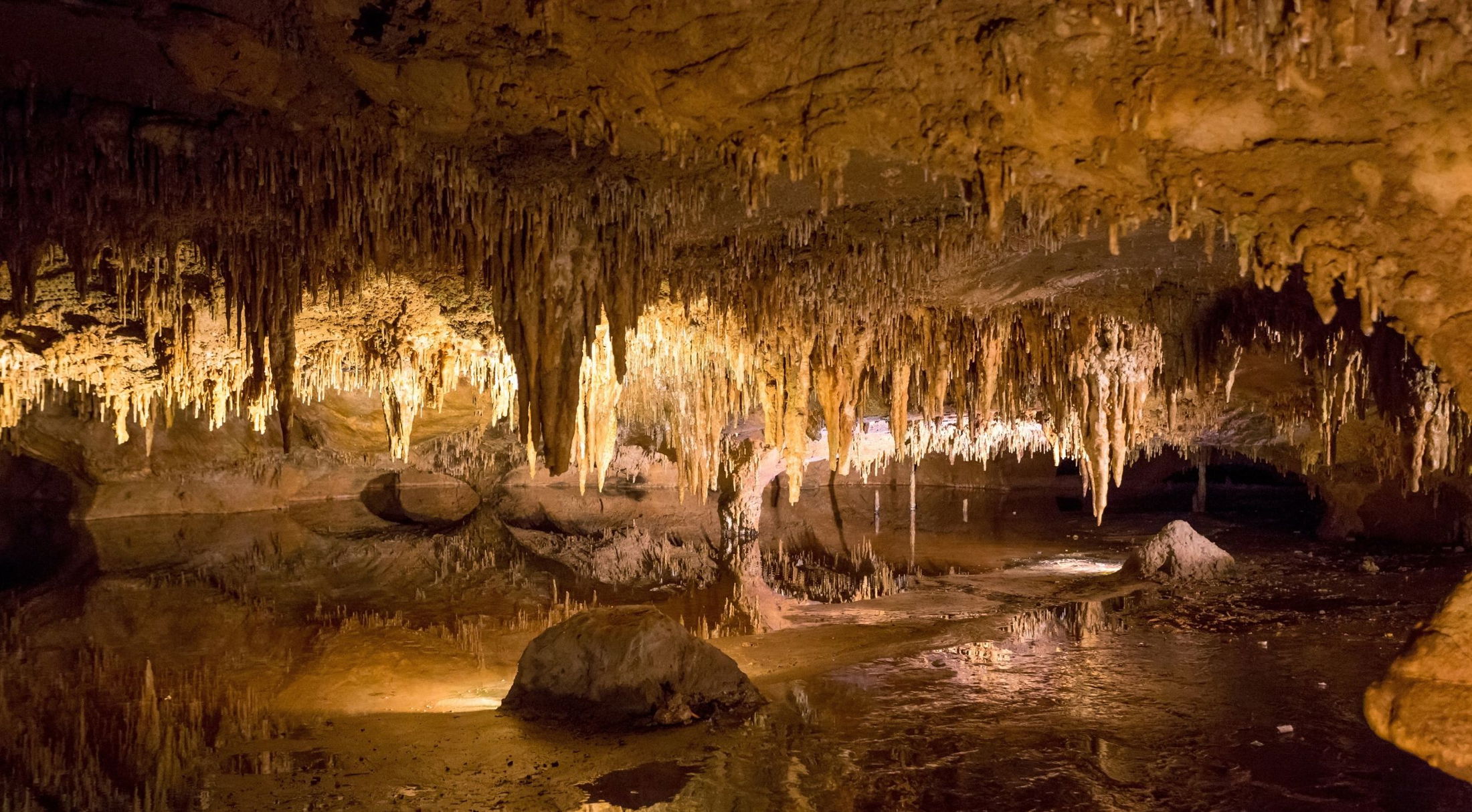 A stunning view of an underground cave featuring illuminated stalactites and stalagmites reflecting in a still pool of water.