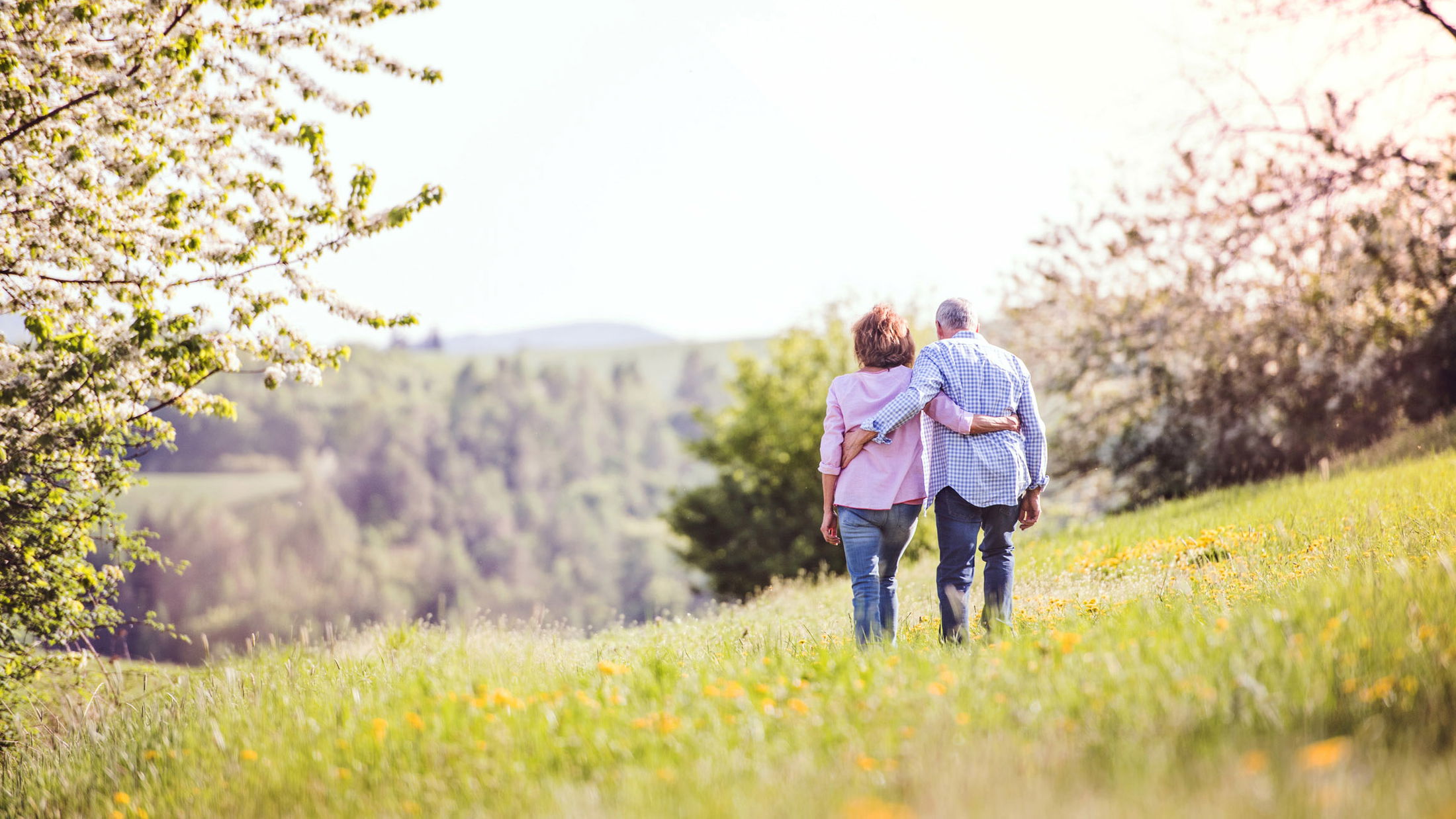 Elderly couple walking arm in arm through a sunny, blossoming meadow with a scenic forest view.
