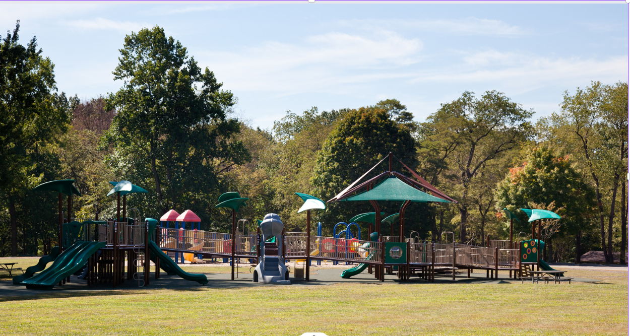 Outdoor children\\\'s playground with colorful slides and climbing structures surrounded by trees in a park setting.
