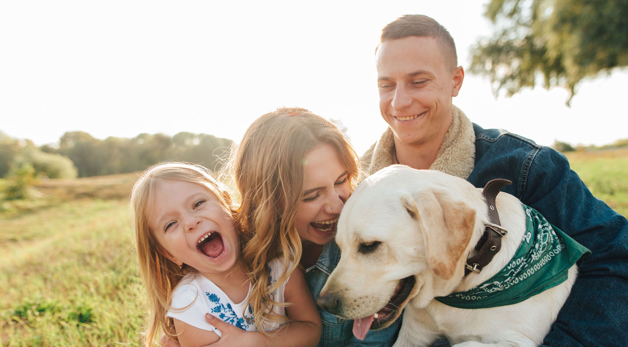 A joyful family with a young child and a Labrador dog in a green field, enjoying a sunny day together.