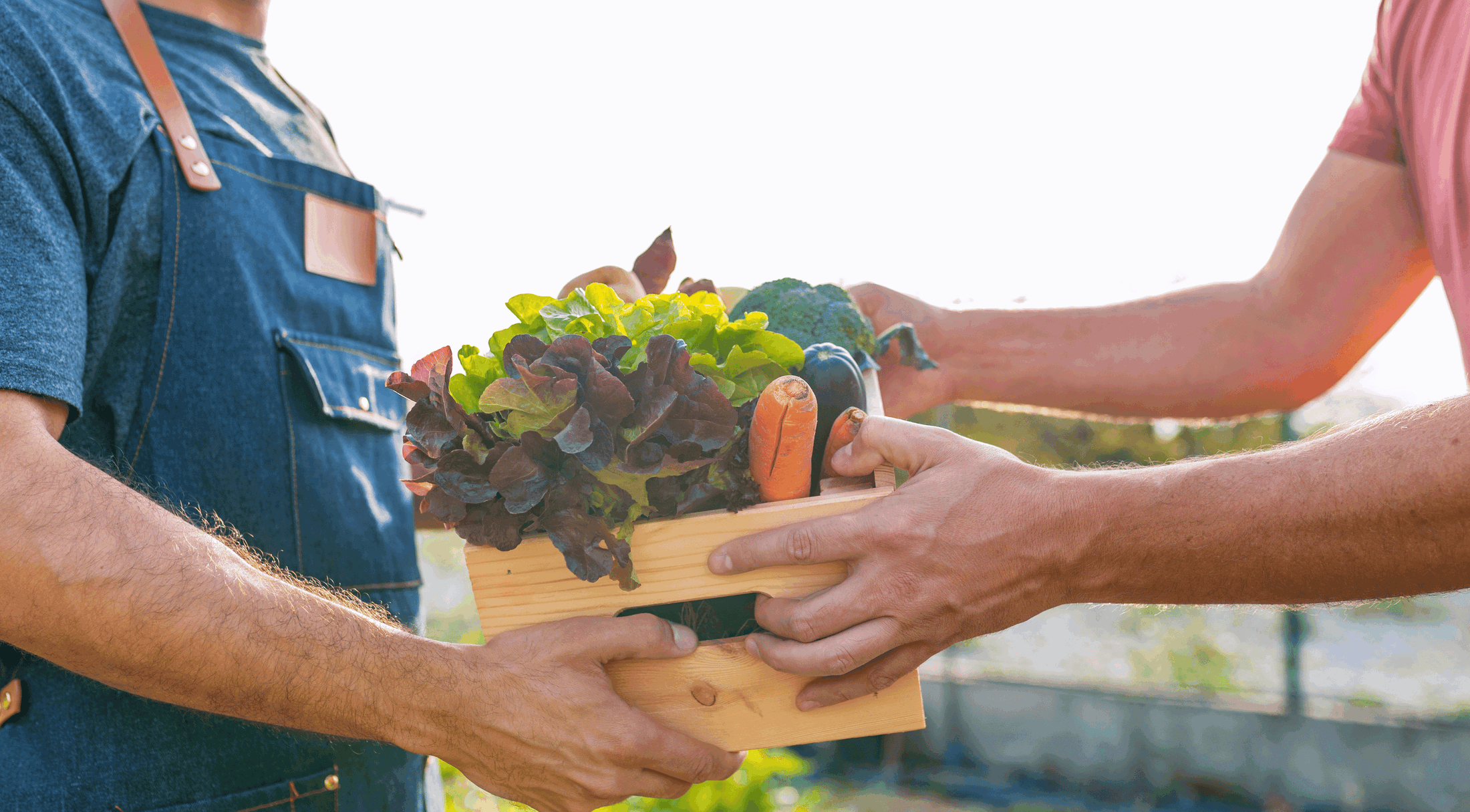 Two people exchanging a wooden crate full of fresh vegetables including lettuce, carrots, and broccoli in a garden.