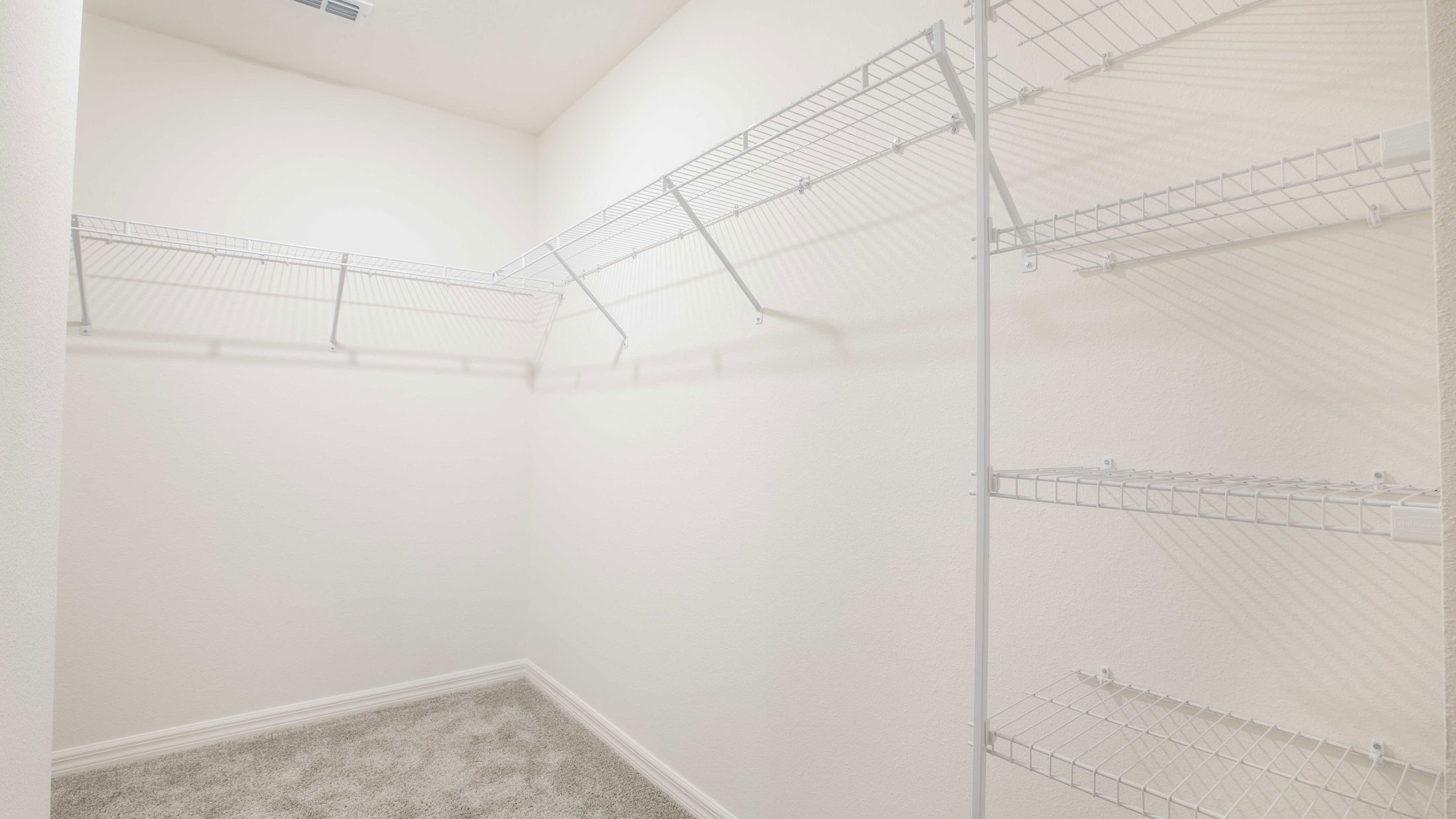 Spacious empty walk-in closet with white wire shelving and beige carpet flooring.