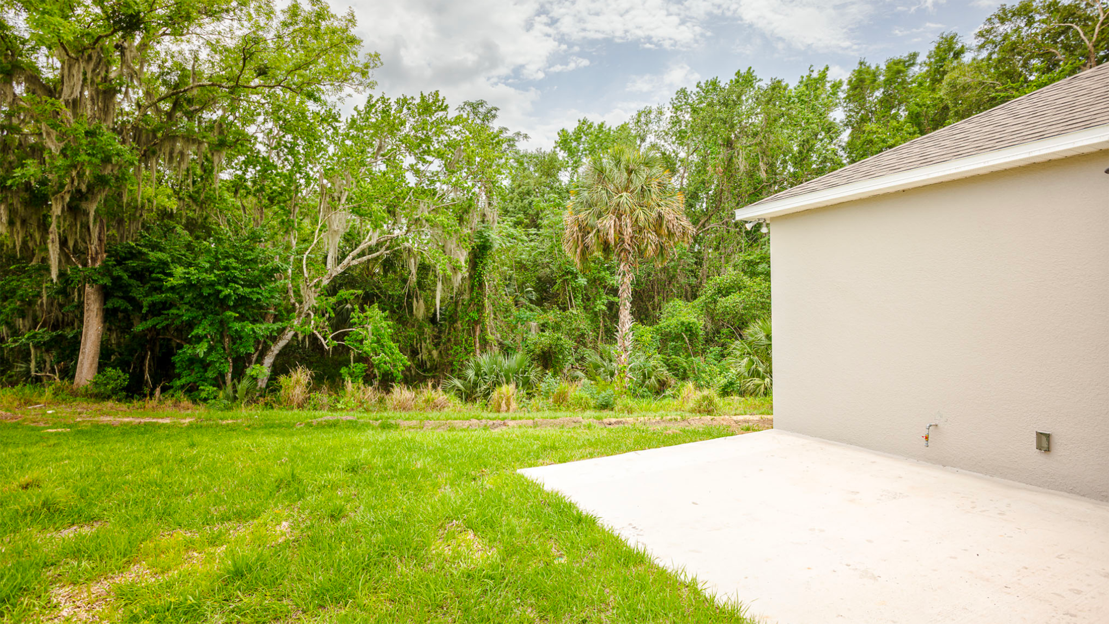A concrete patio next to a beige house overlooks a lush green forest with palm and moss-covered trees under a cloudy sky.