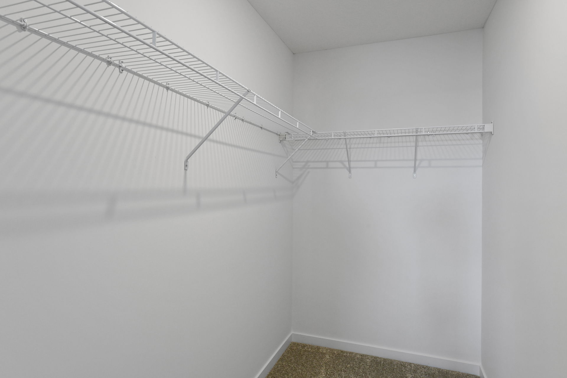 Empty white walk-in closet with wire shelving and carpeted floor.