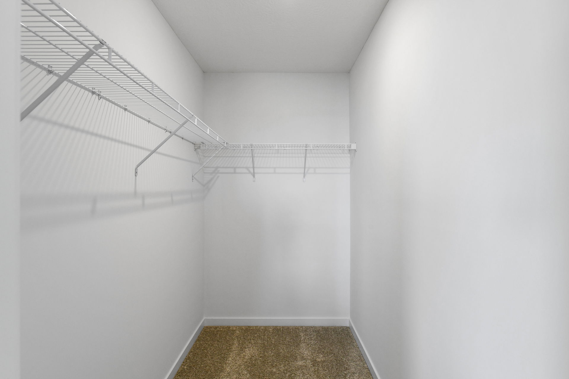 Empty walk-in closet with white wire shelving and light beige carpet flooring.