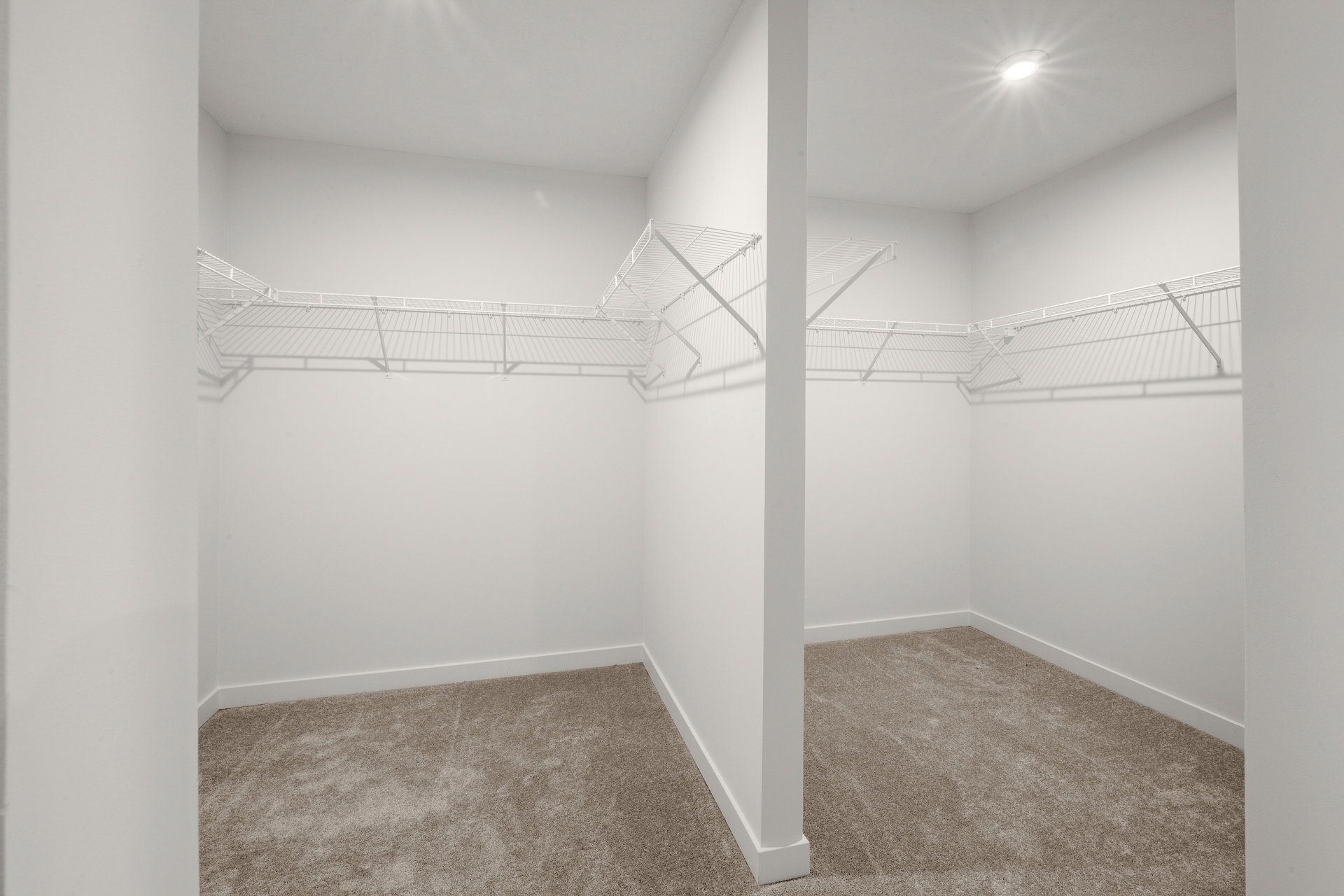 Empty walk-in closet with white wire shelving and carpeted floor.