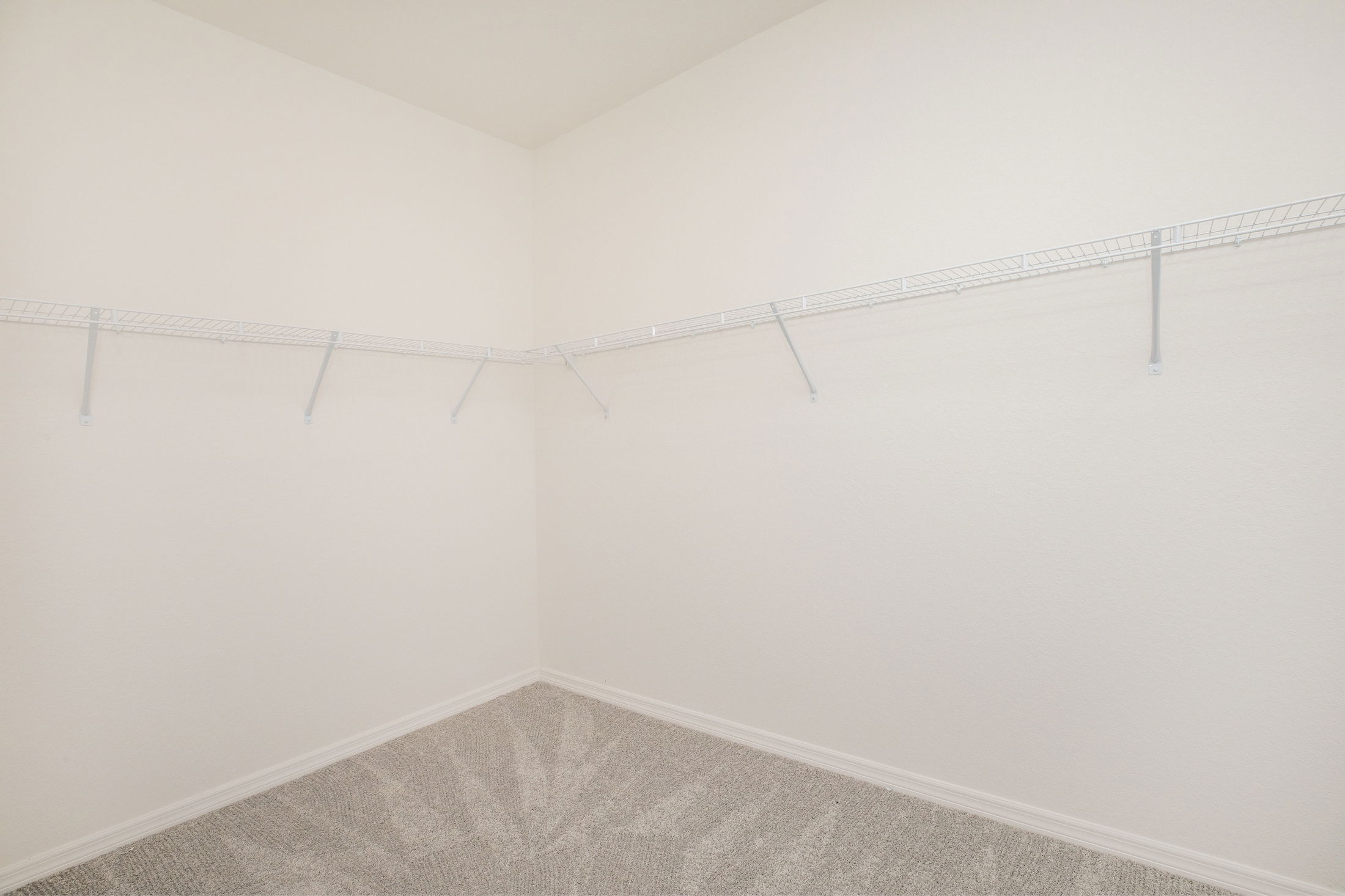 Empty walk-in closet with white wire shelving and beige carpet.