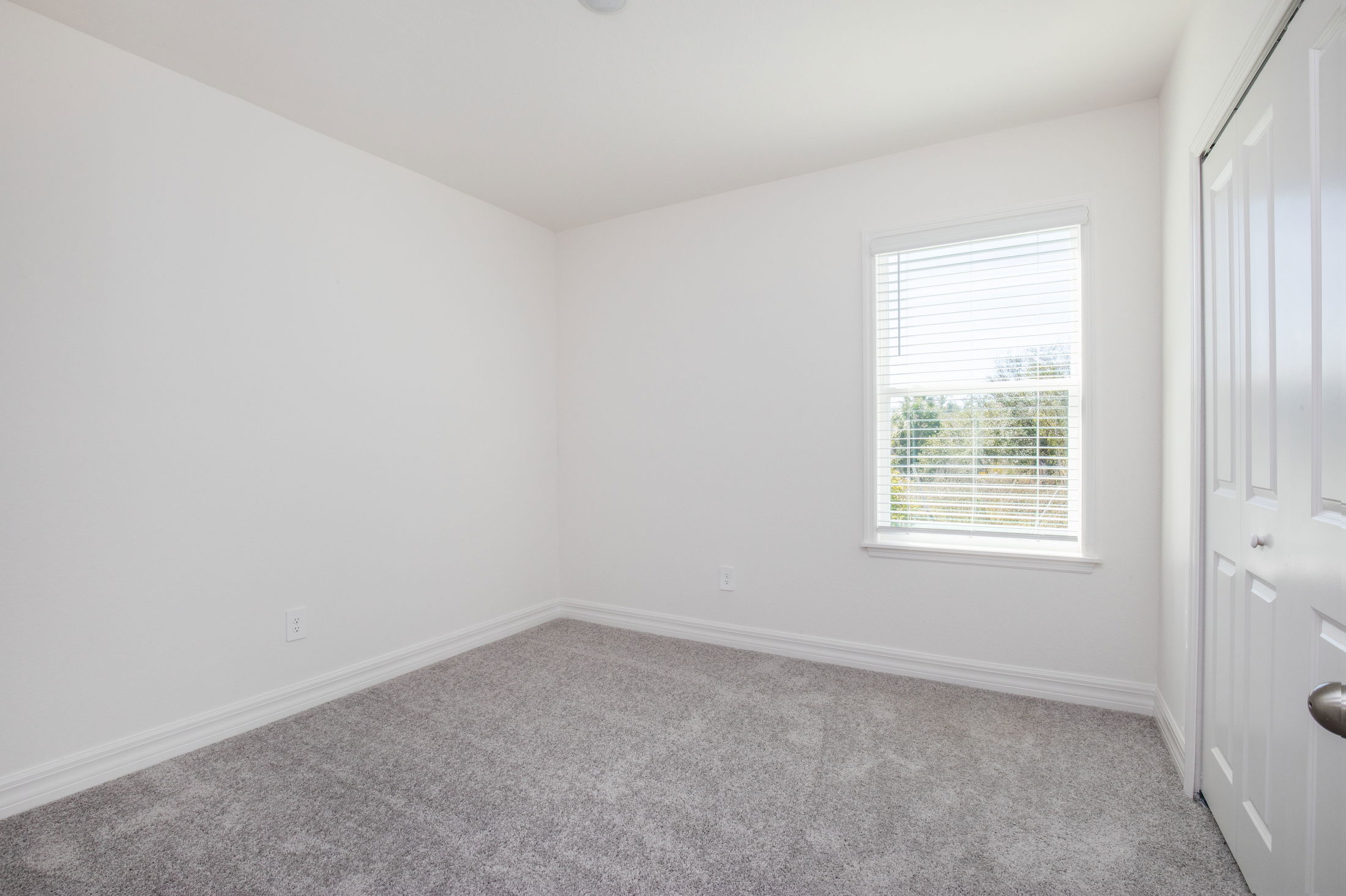 Empty white-walled bedroom with gray carpet, a window letting in natural light, and a closed closet door.