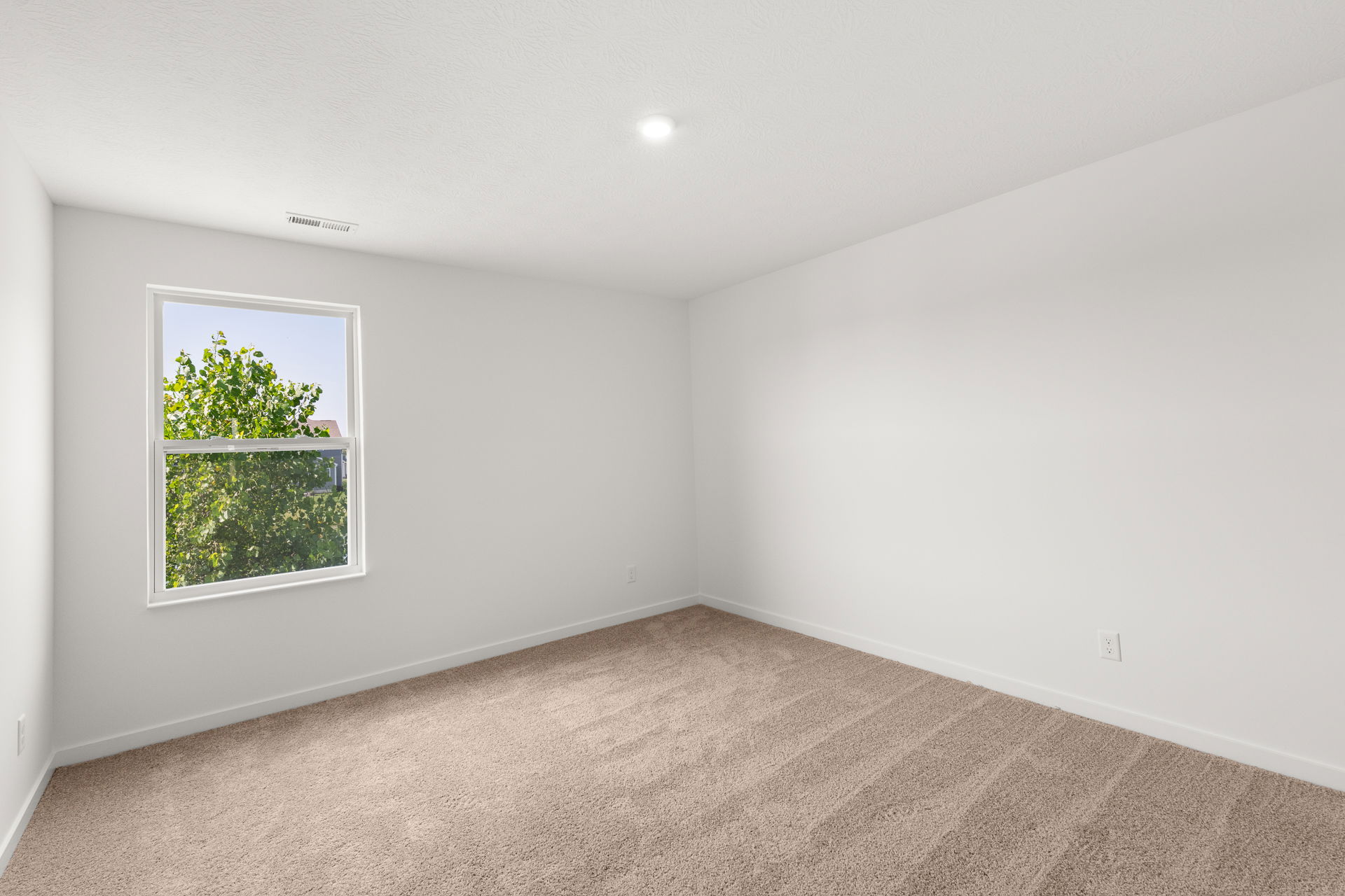 Bright and airy empty room with beige carpet and a window showcasing greenery outside.