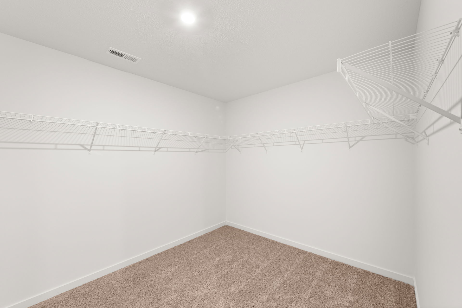 Empty walk-in closet featuring white wire shelving and plush beige carpet.