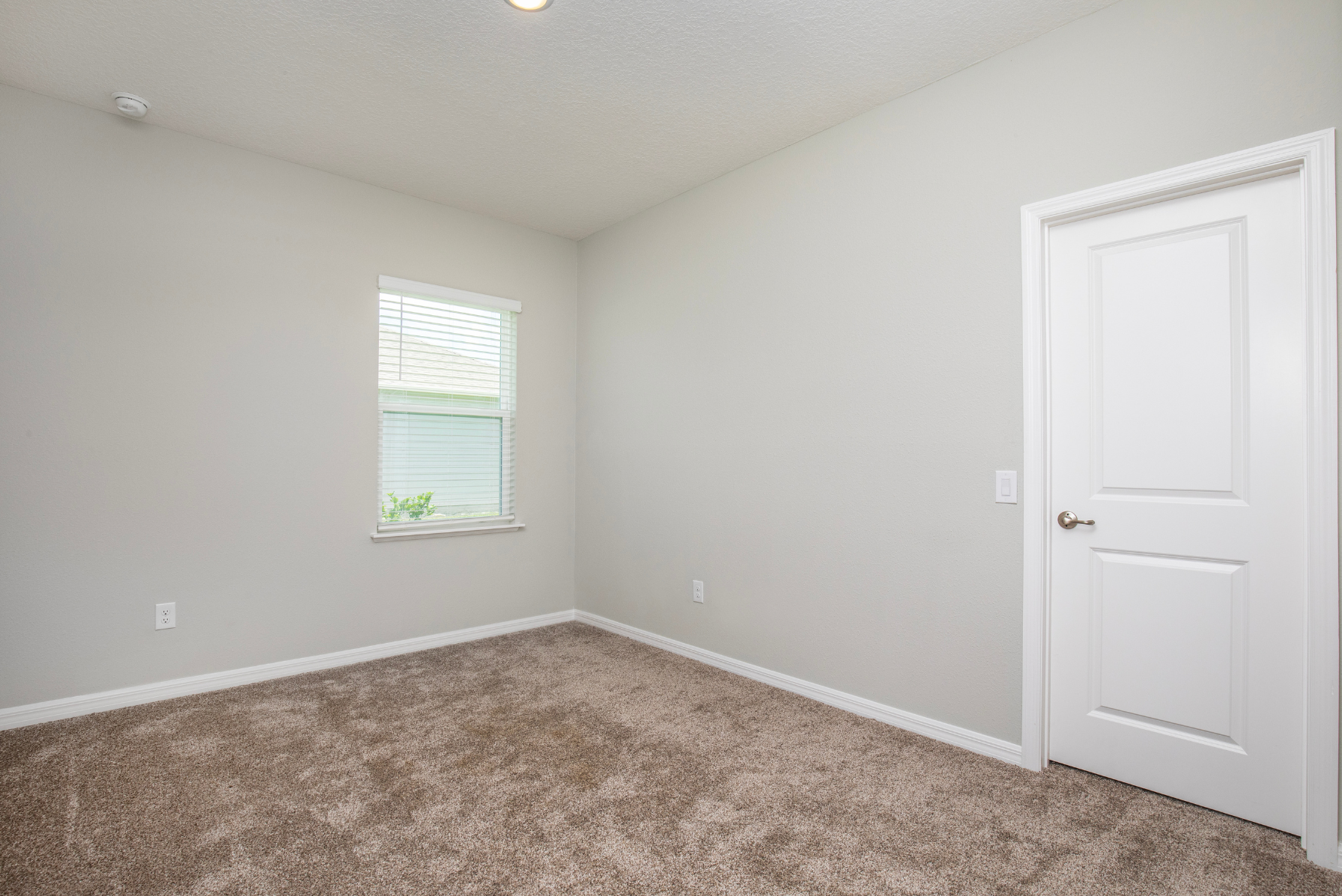 Empty room with beige carpet, white walls, a single window, and a white door.
