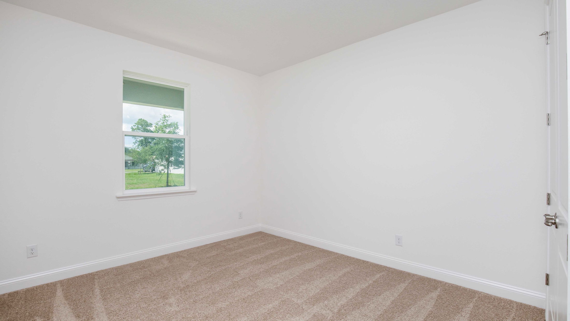 Empty white-walled room with a single window and beige carpet flooring.