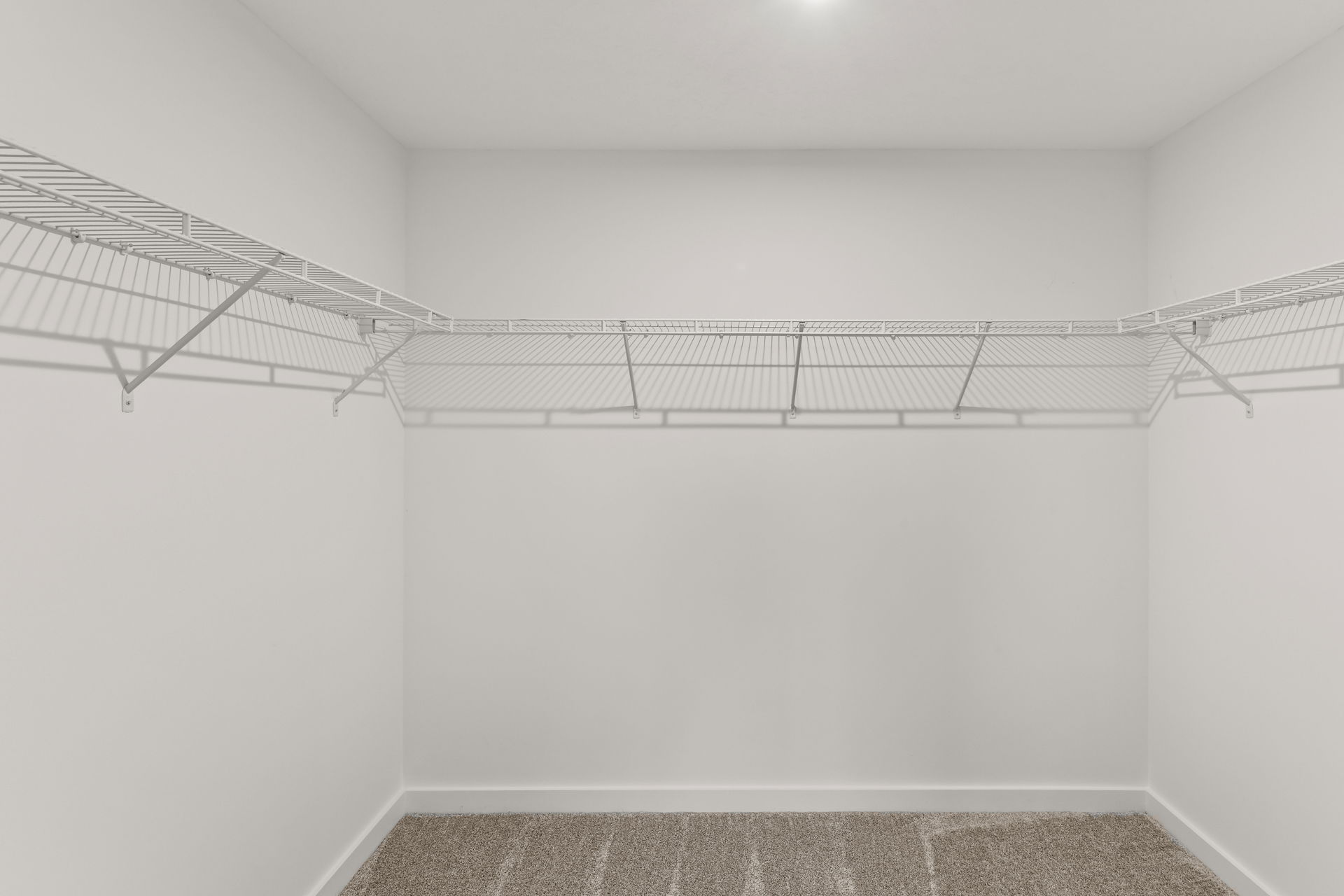 Empty walk-in closet with white wire shelving and carpet flooring.