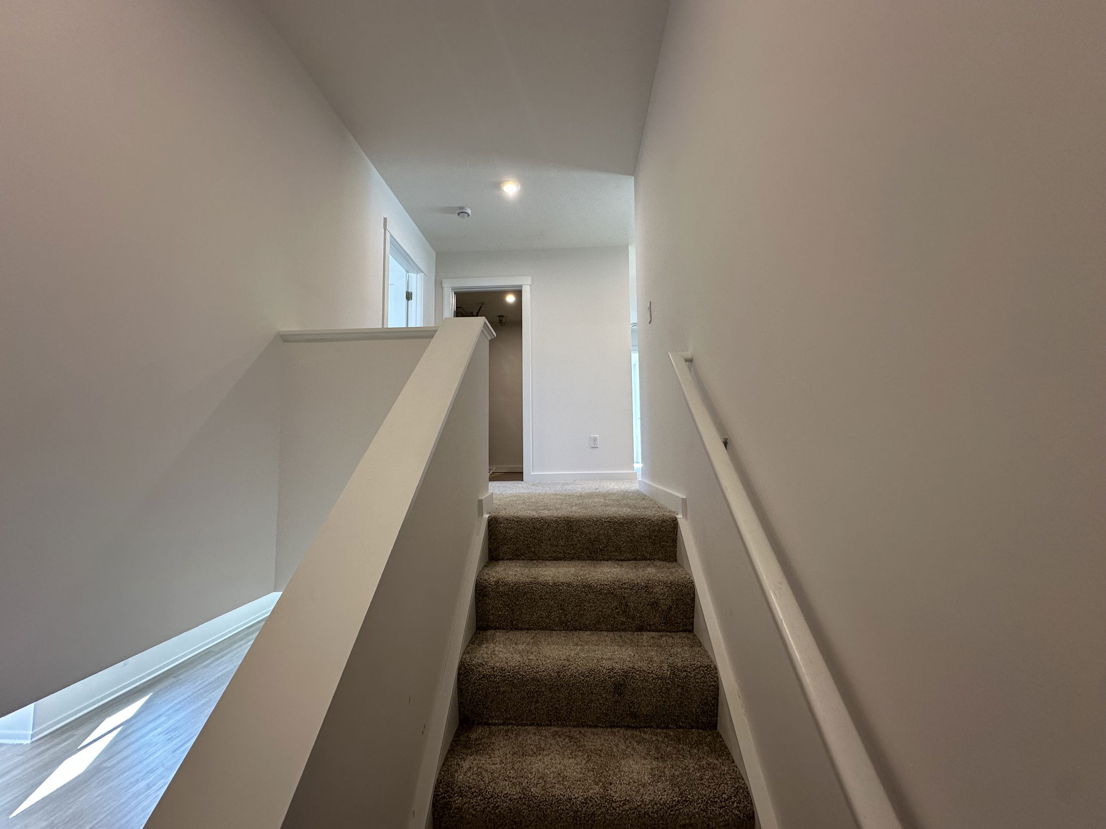 Carpeted staircase with white walls leading to a well-lit hallway in a modern home interior.