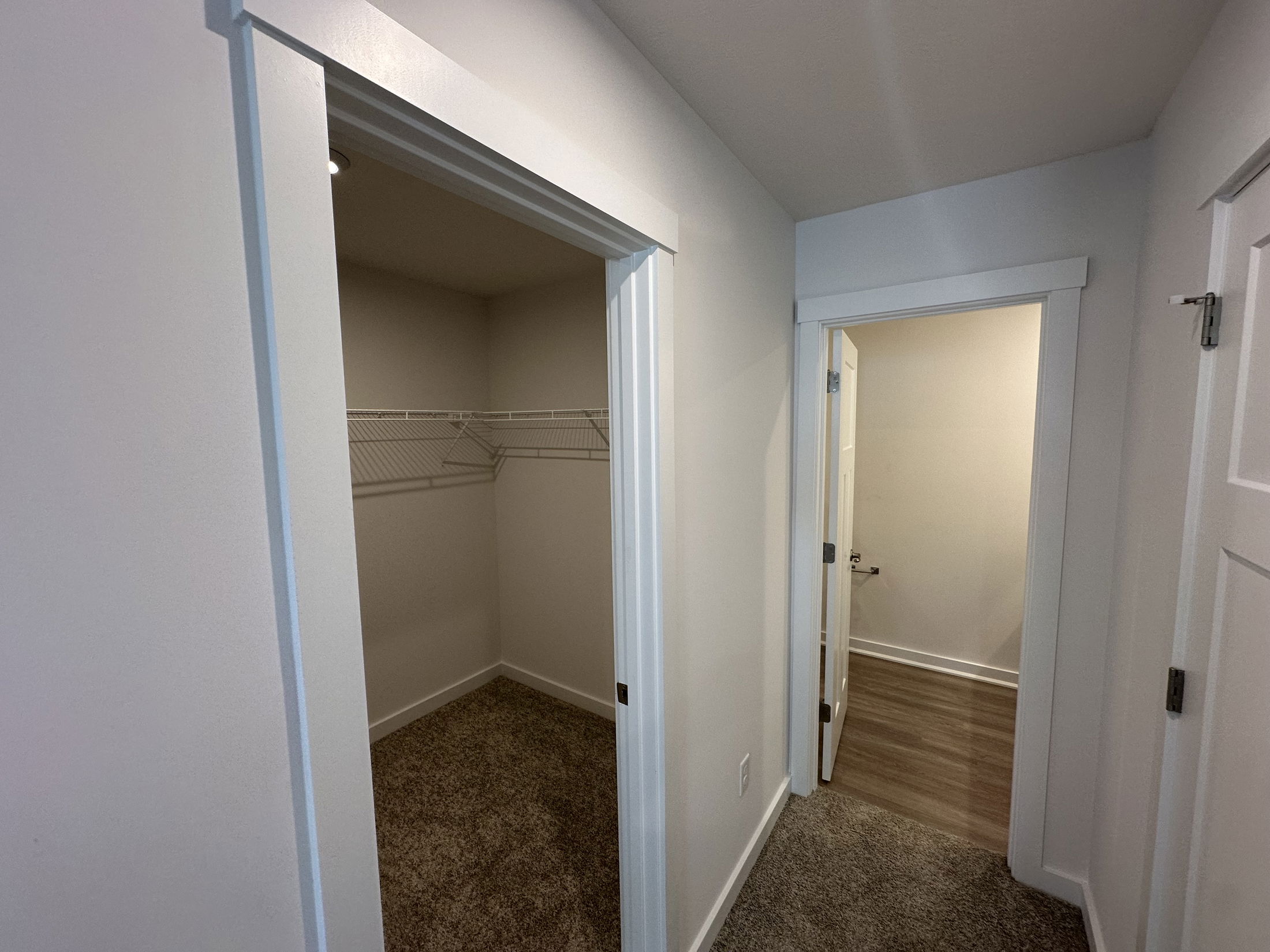 Empty walk-in closet with carpet flooring adjacent to hallway with wooden floor in a modern home.