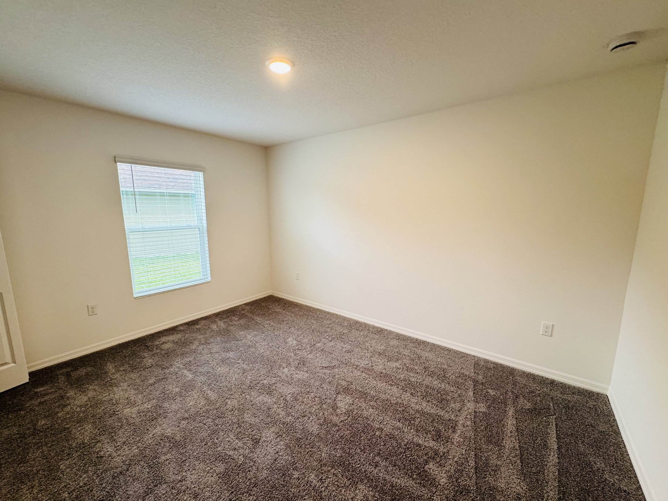 A spacious, empty room with gray carpet and a window letting in natural light.