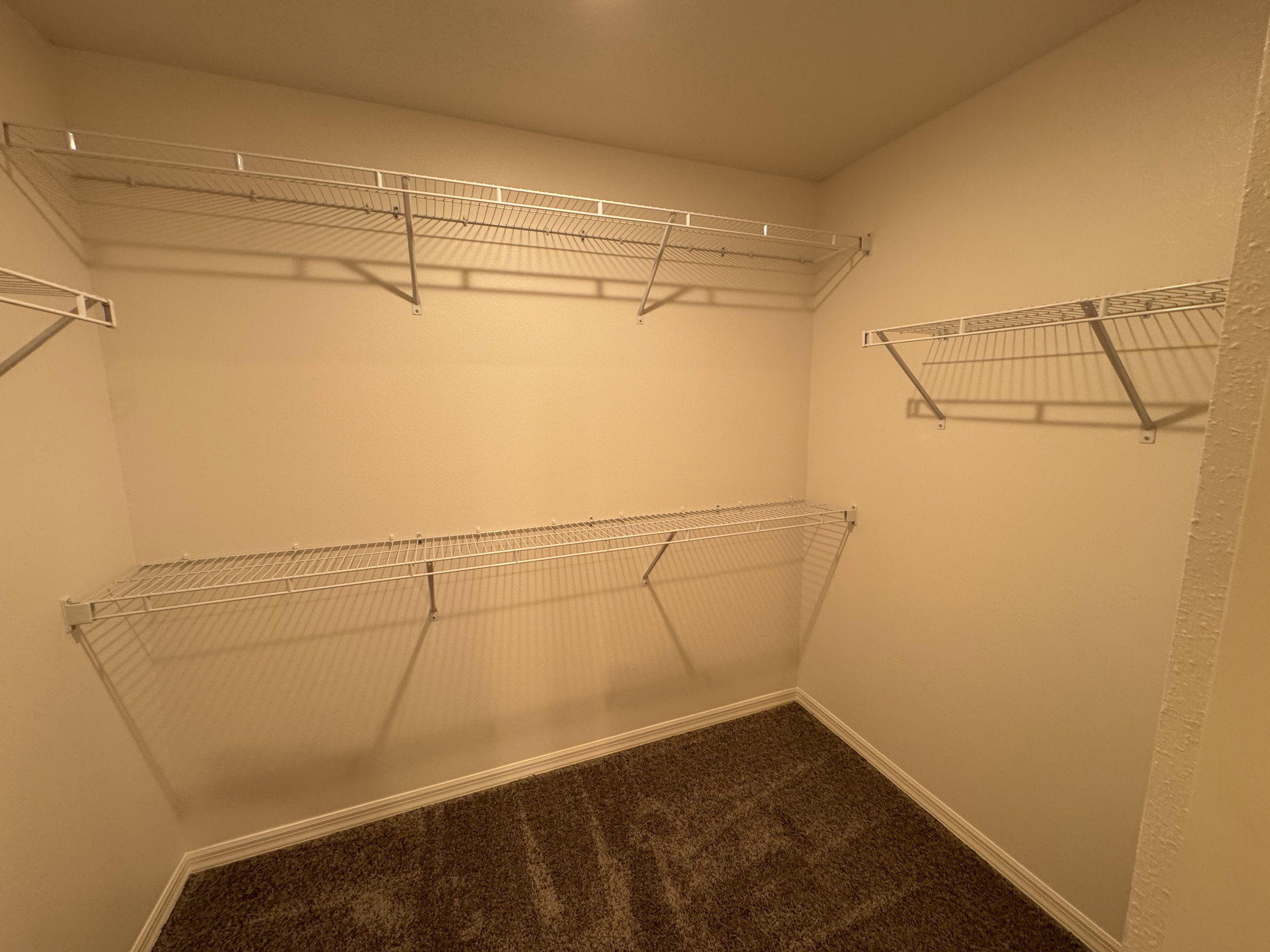 Empty closet with white wire shelving and a carpeted floor.