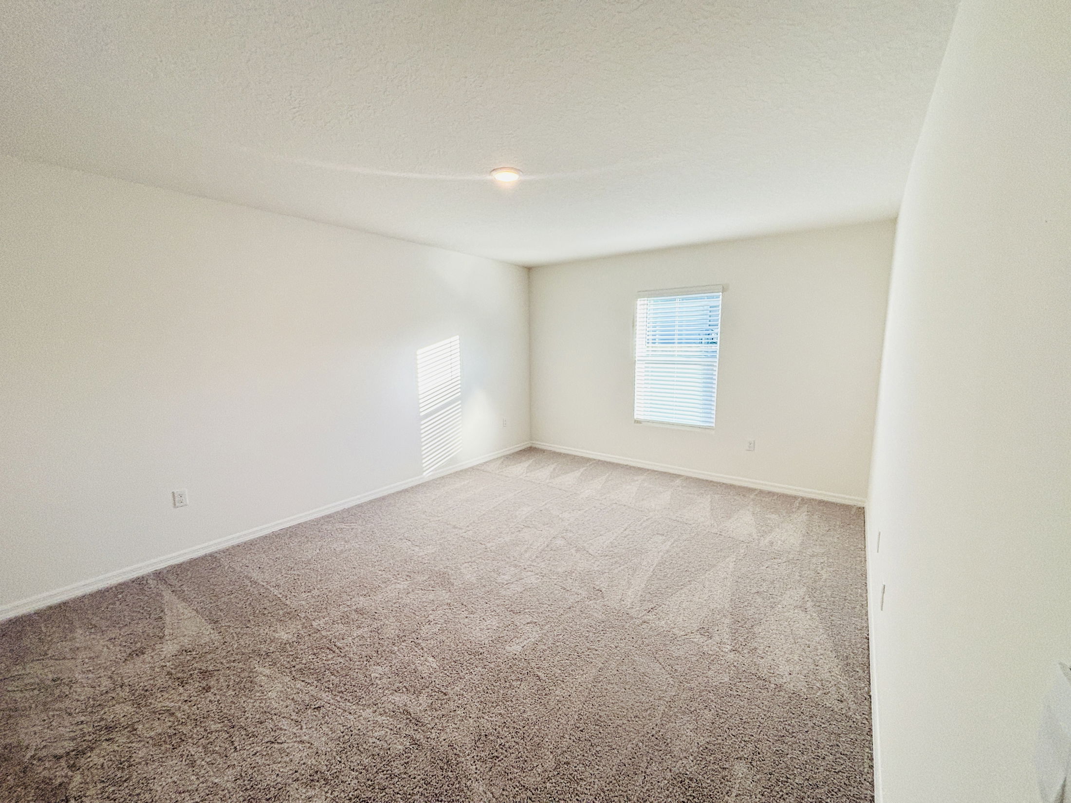 Bright and spacious empty room with light-colored walls and plush carpet, featuring a window with blinds.