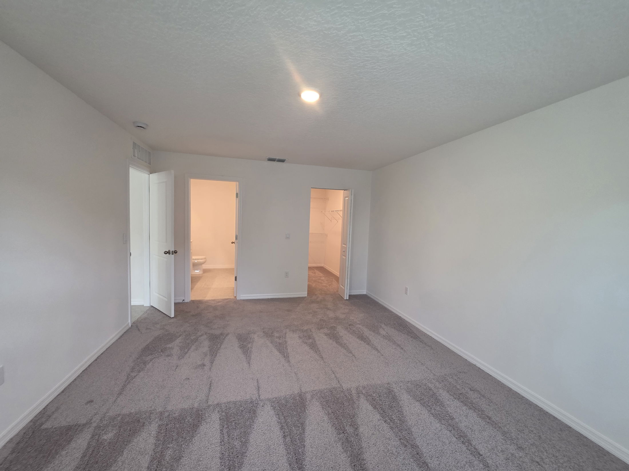 Spacious, vacant bedroom featuring carpet flooring and two open doors leading to adjoining rooms.