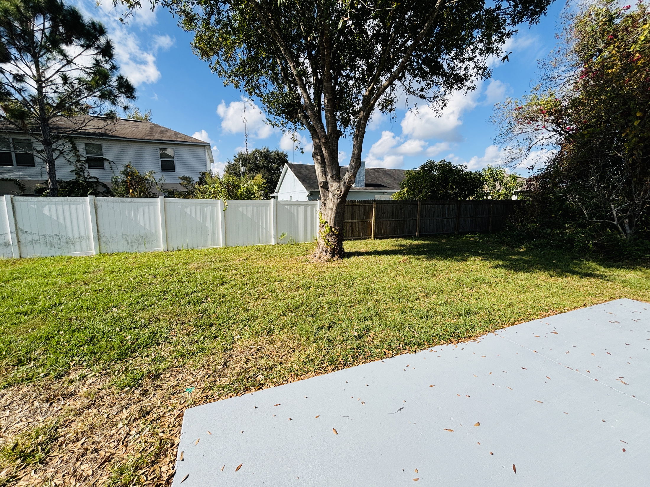 A serene backyard featuring a tree, lush green grass, and a privacy fence under a clear blue sky.