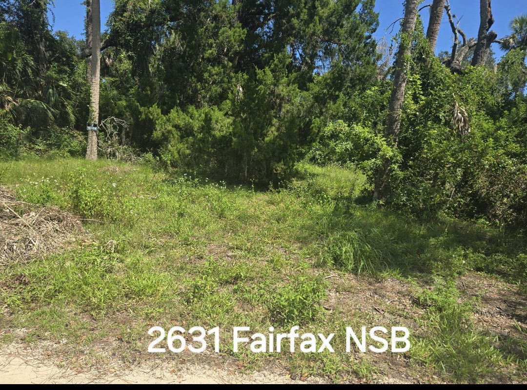 A vacant grassy lot with trees at 2631 Fairfax NSB.