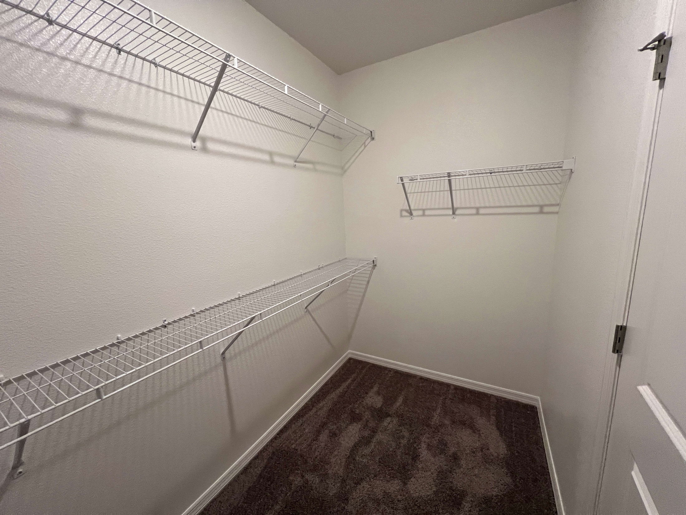 Empty walk-in closet with white wire shelving and carpeted floor.
