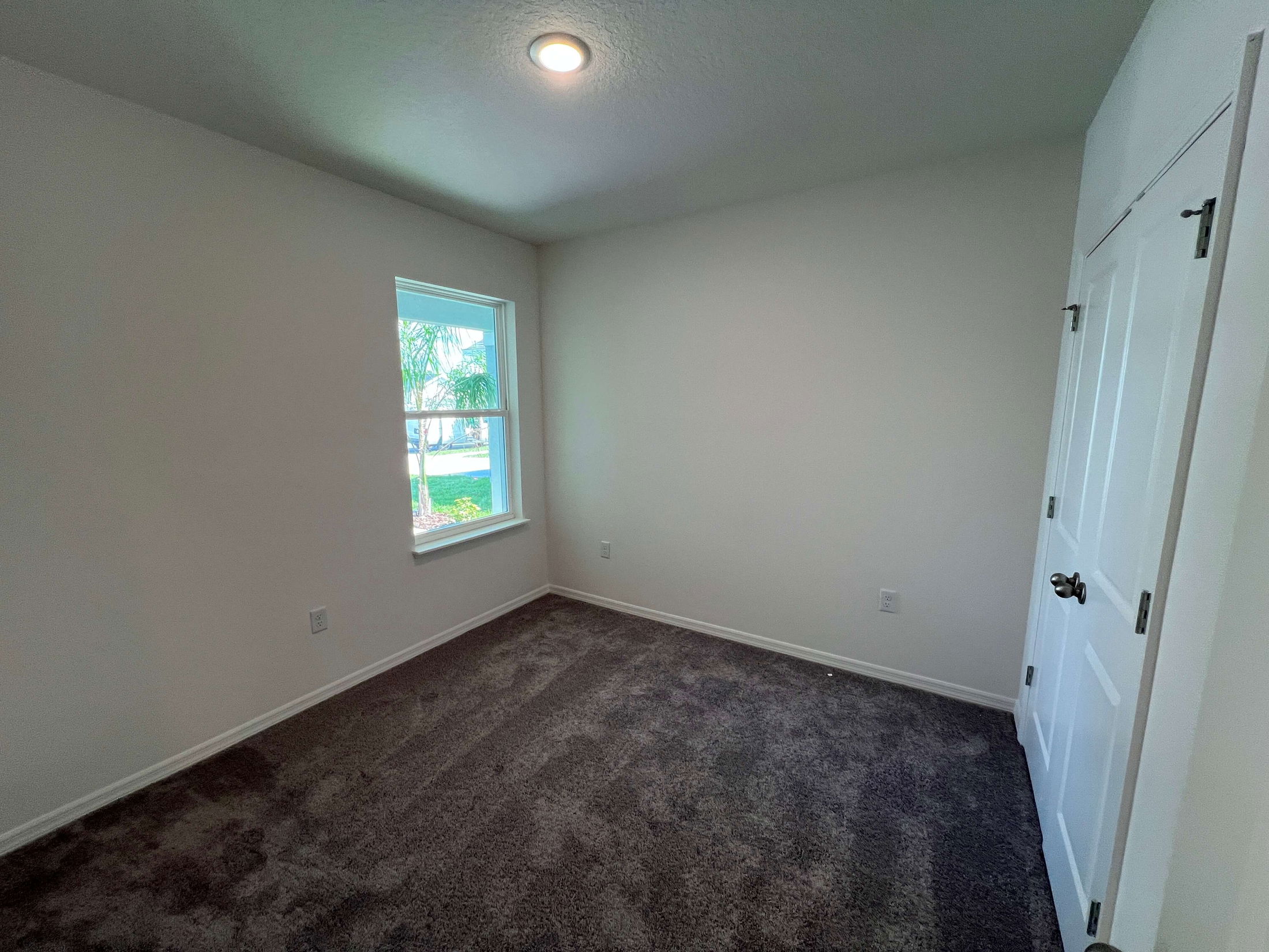 Empty room with white walls, gray carpet, a single window, and a closed white door, illuminated by a ceiling light.