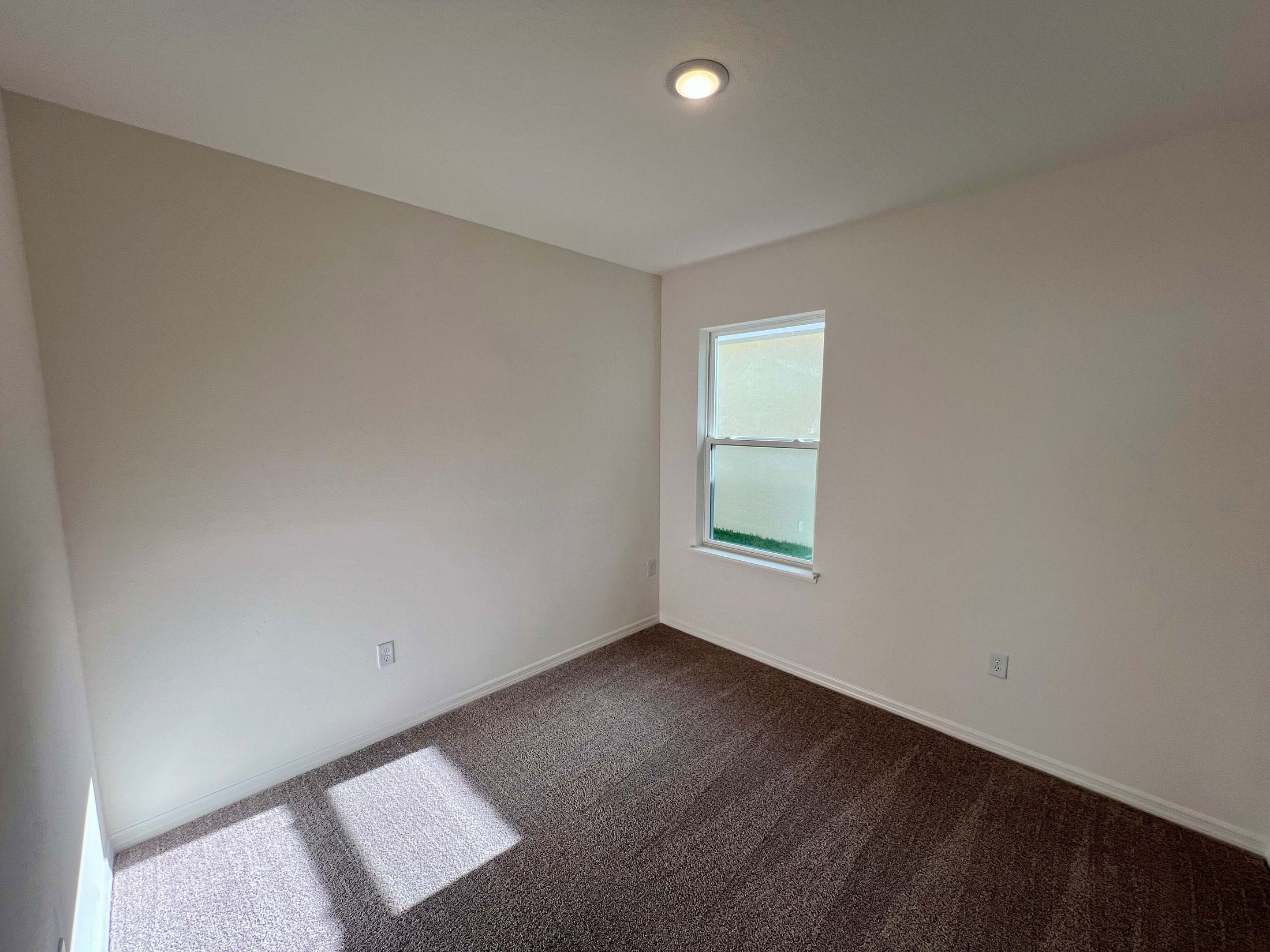 Empty room with beige walls and brown carpet, featuring a single window allowing natural light.