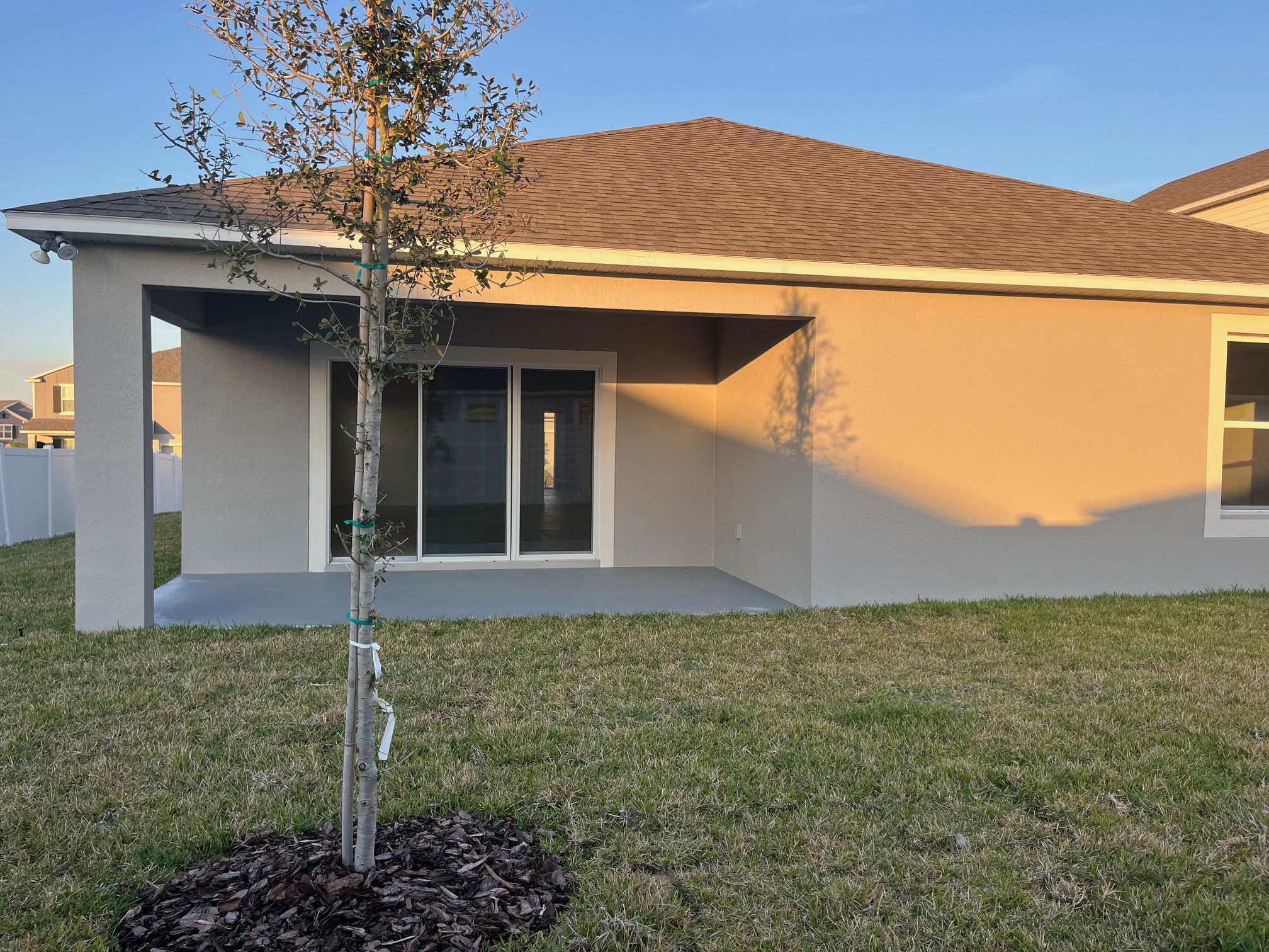 Backyard view of a modern house with a small tree and well-maintained lawn at sunset.