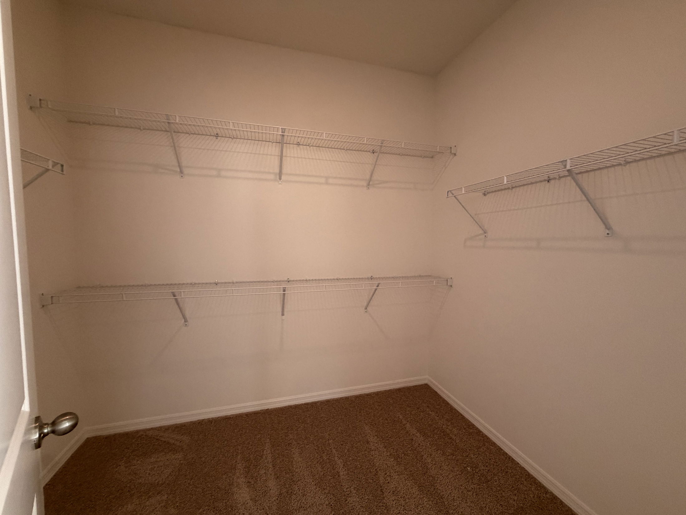 Empty walk-in closet with wire shelving and beige carpet flooring.