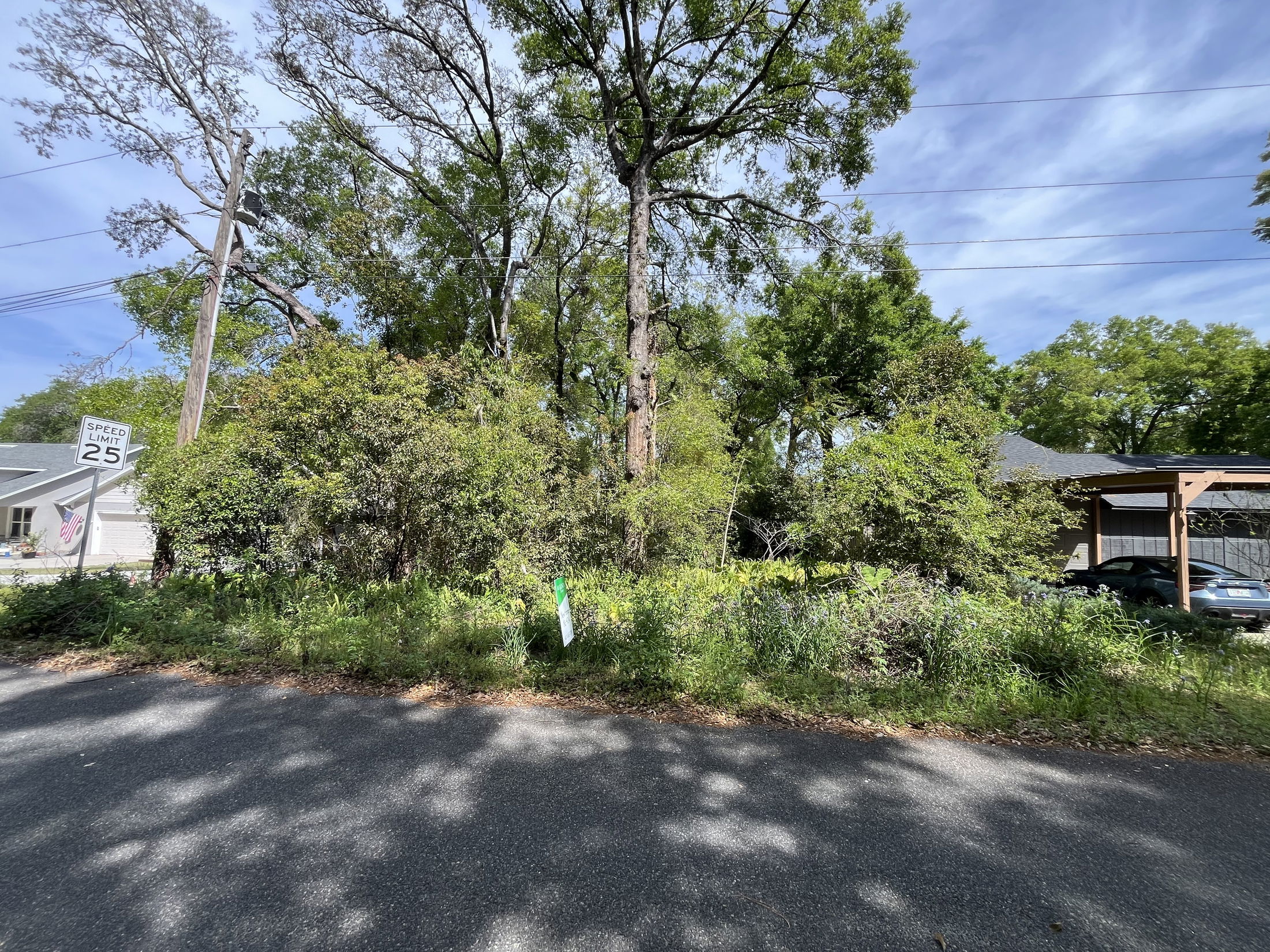 Residential street with speed limit sign, overgrown vegetation, and houses surrounded by tall trees.