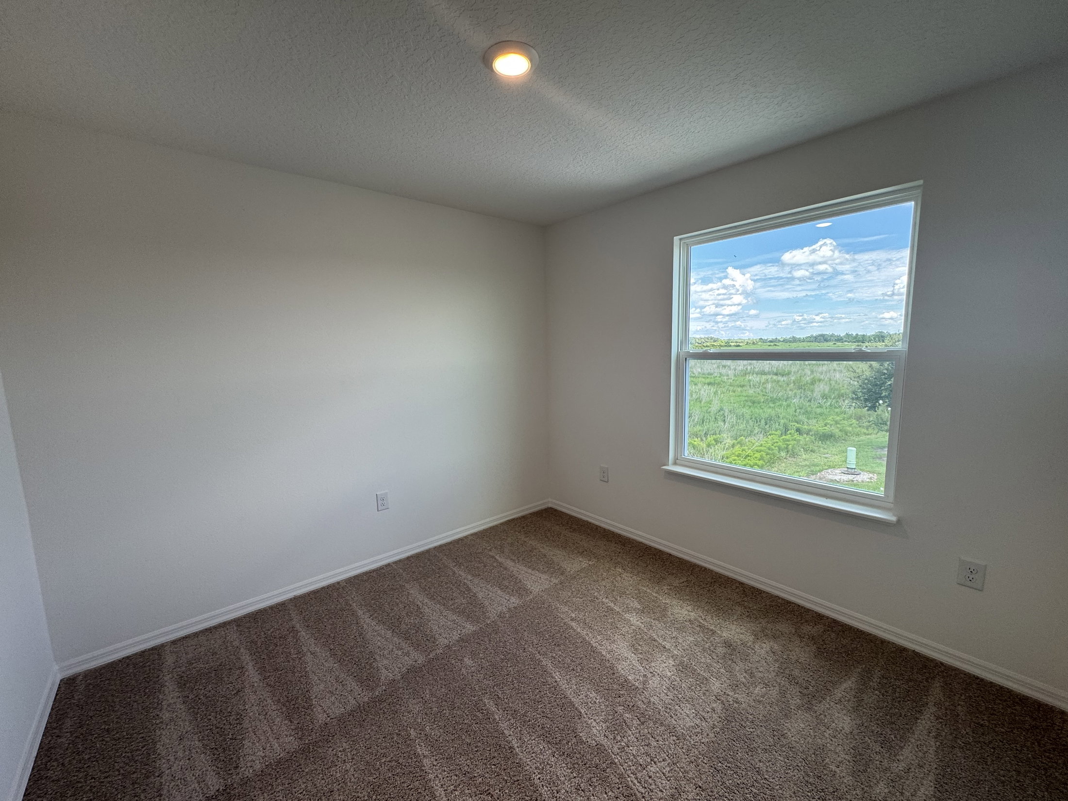 Bright, empty room with light-colored walls, carpeted floor, and a window showing a view of greenery and cloudy sky.