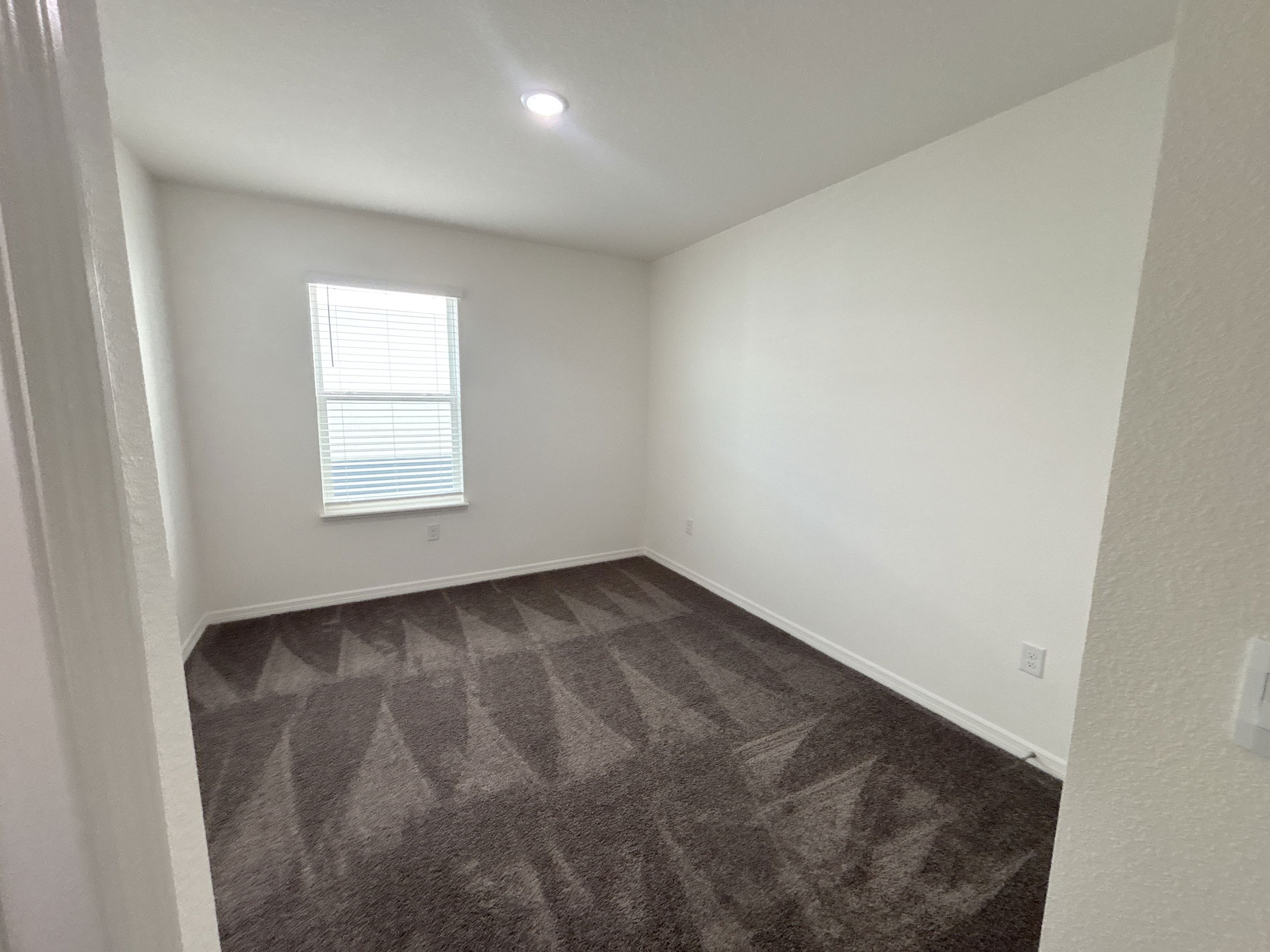 A bright, empty room featuring gray carpet and natural light from a window.