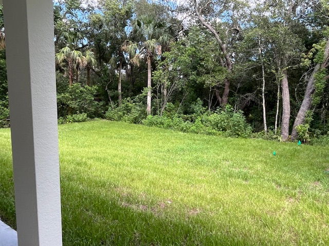 Backyard with lush green grass and a view of dense forest trees.