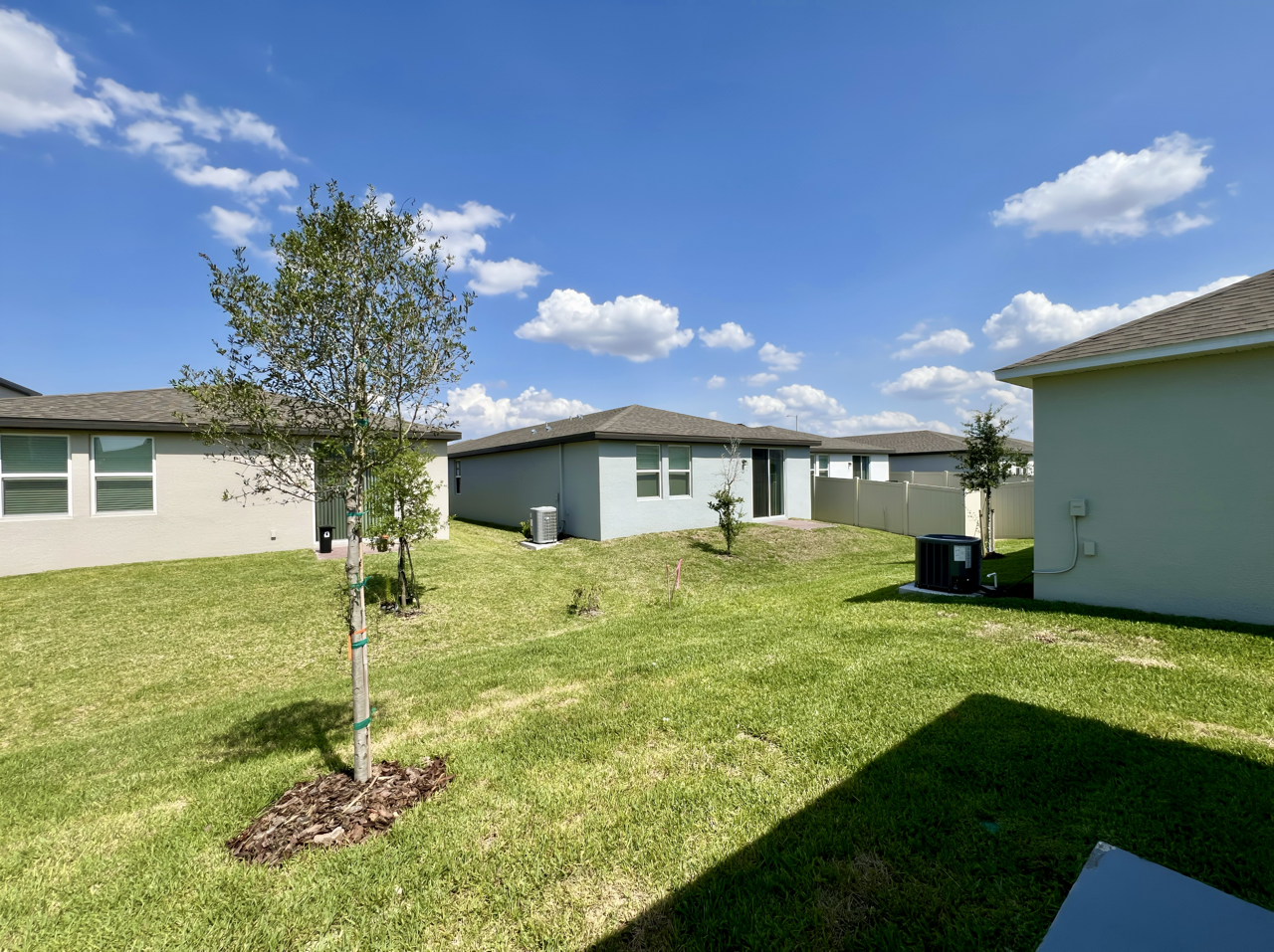 Modern suburban backyard with well-maintained lawn, young trees, and neighboring houses under a clear blue sky.