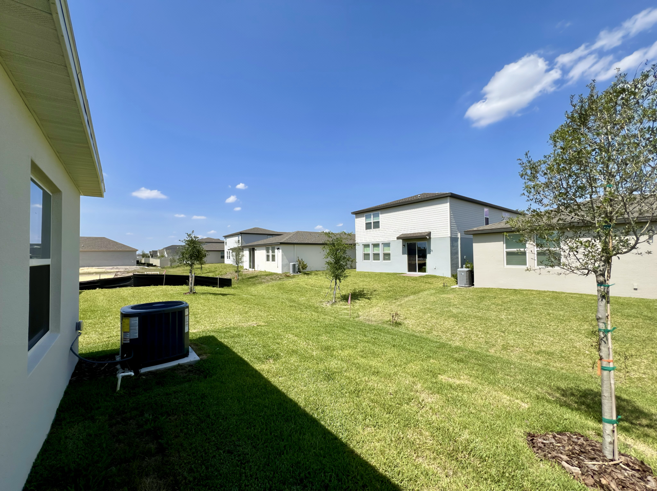 Suburban backyard with green grass and modern detached houses under a clear blue sky.