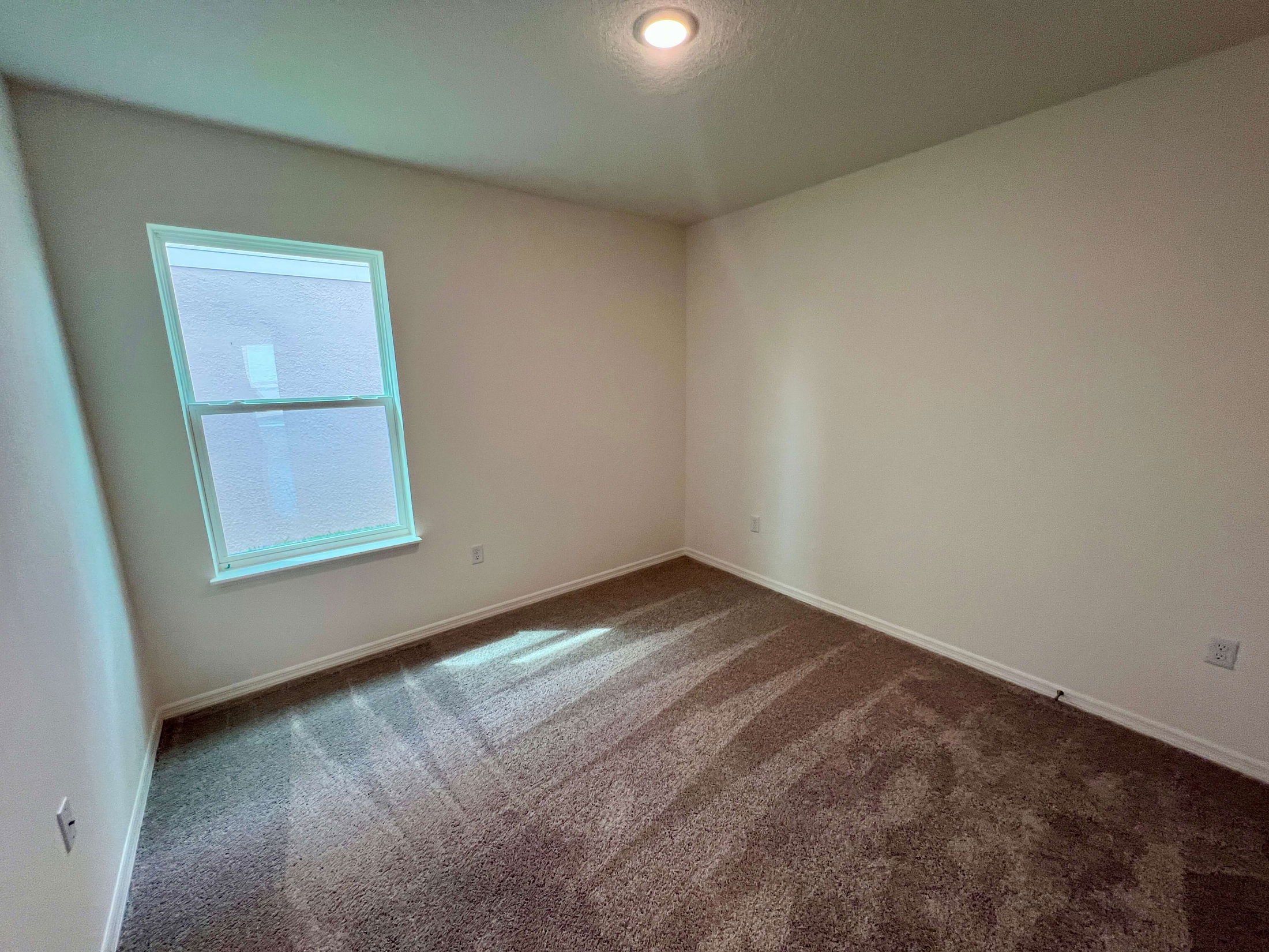 Empty room with beige carpet, white walls, and a sunlit window creating a bright and inviting space.