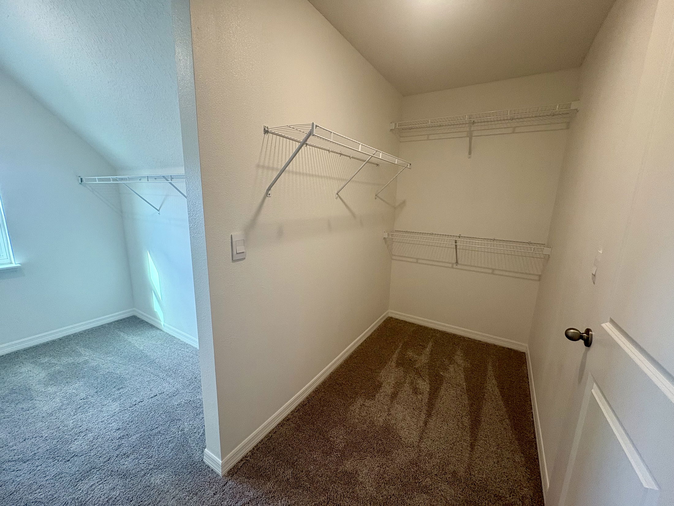 Walk-in closet with white wire shelving and beige carpet, illustrating spacious storage area with natural lighting.