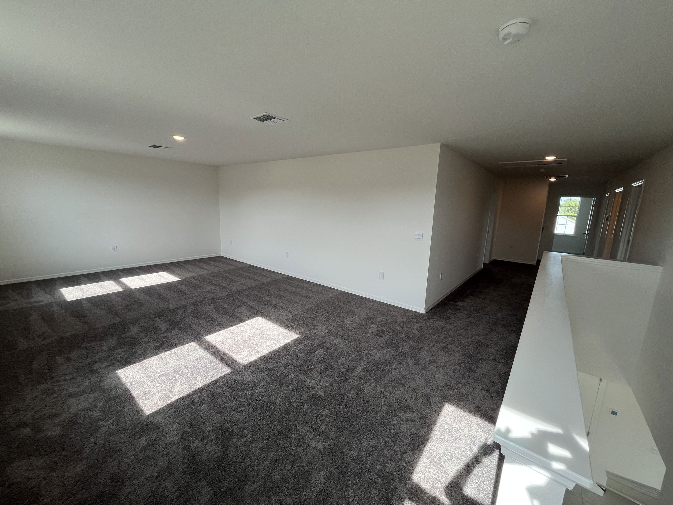 Spacious empty room with fresh gray carpet and white walls illuminated by natural light from windows.