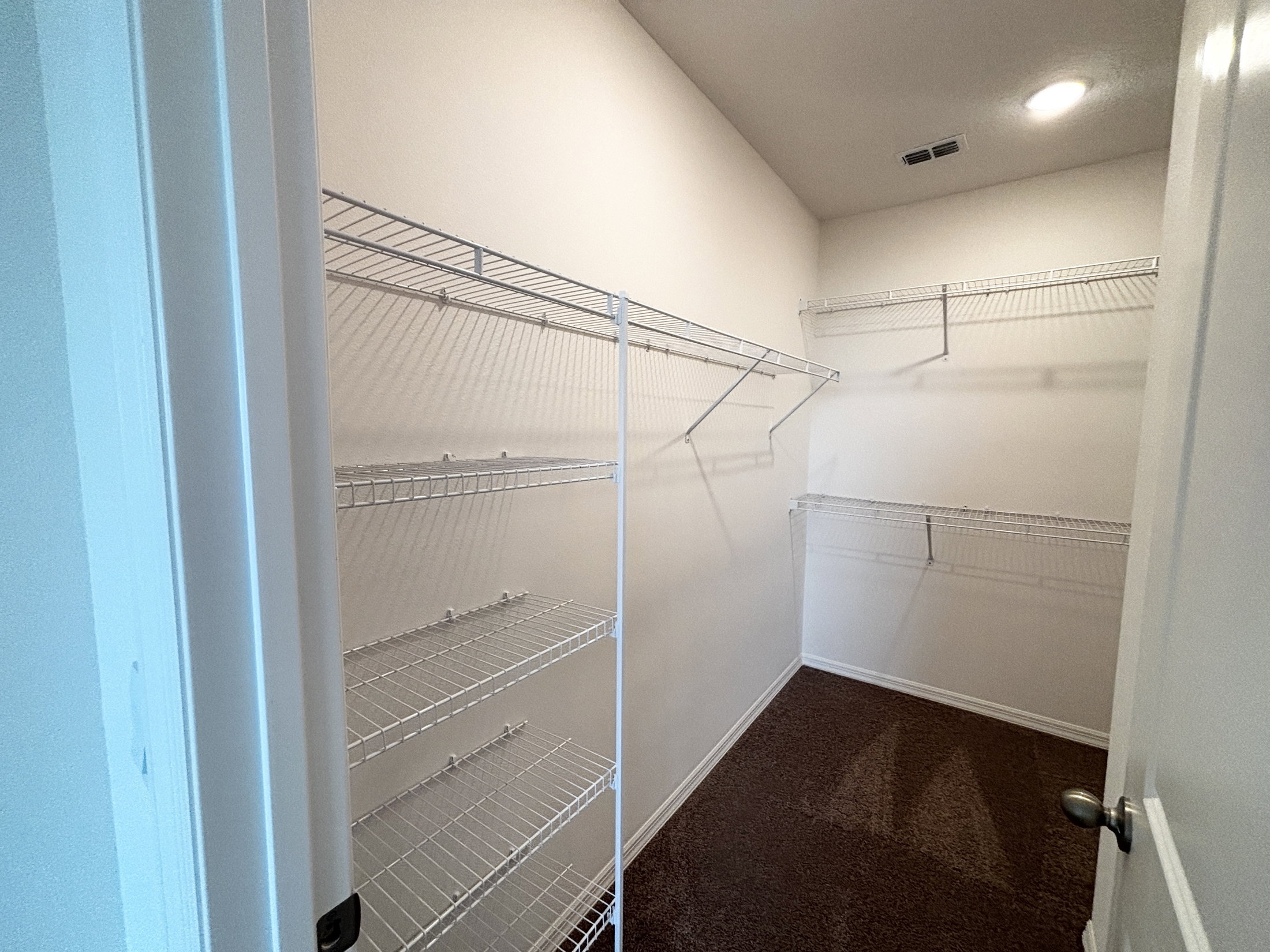 Empty walk-in closet with white wire shelving and beige carpet.