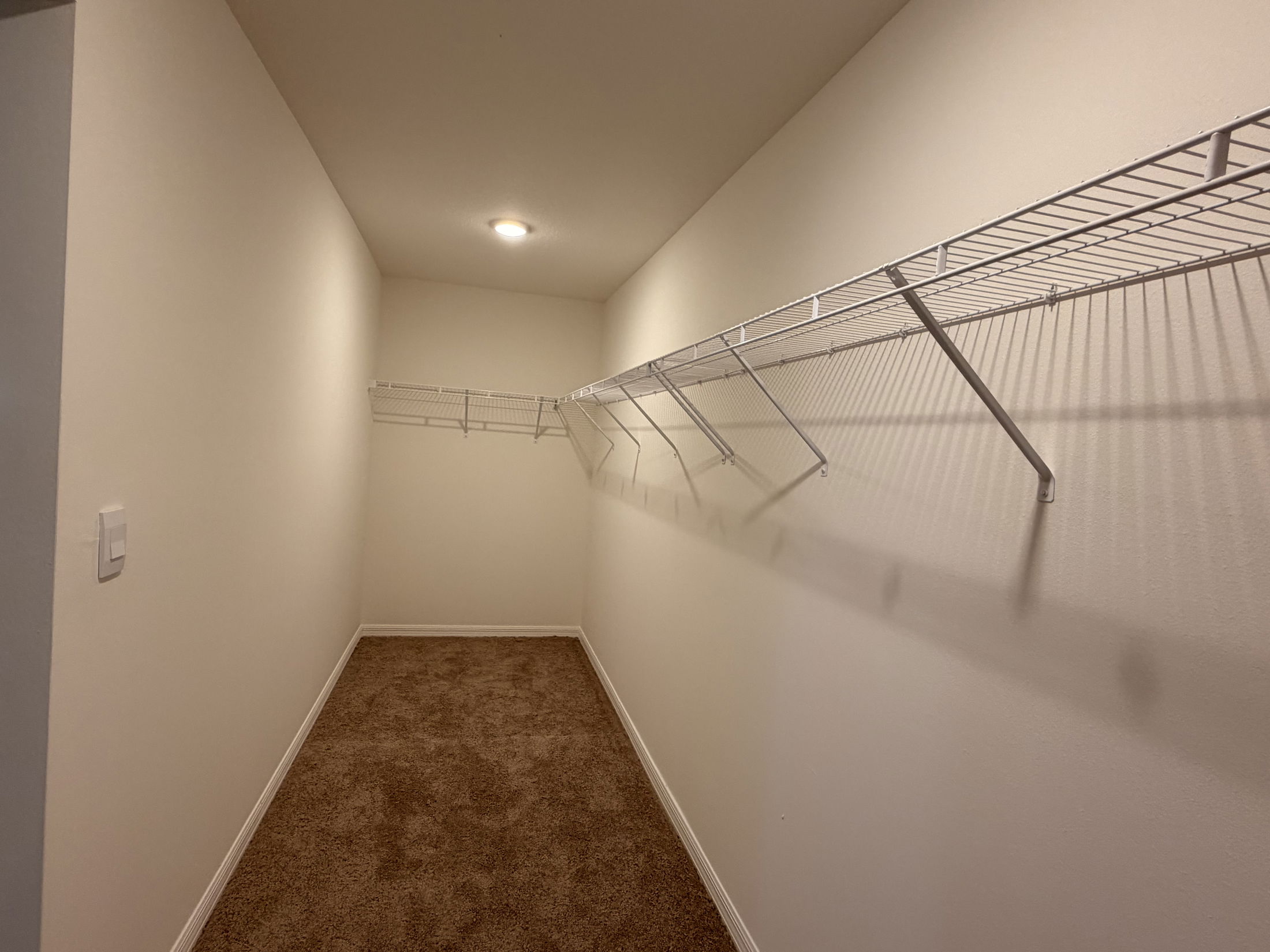 Empty walk-in closet with white wire shelving and beige carpet.