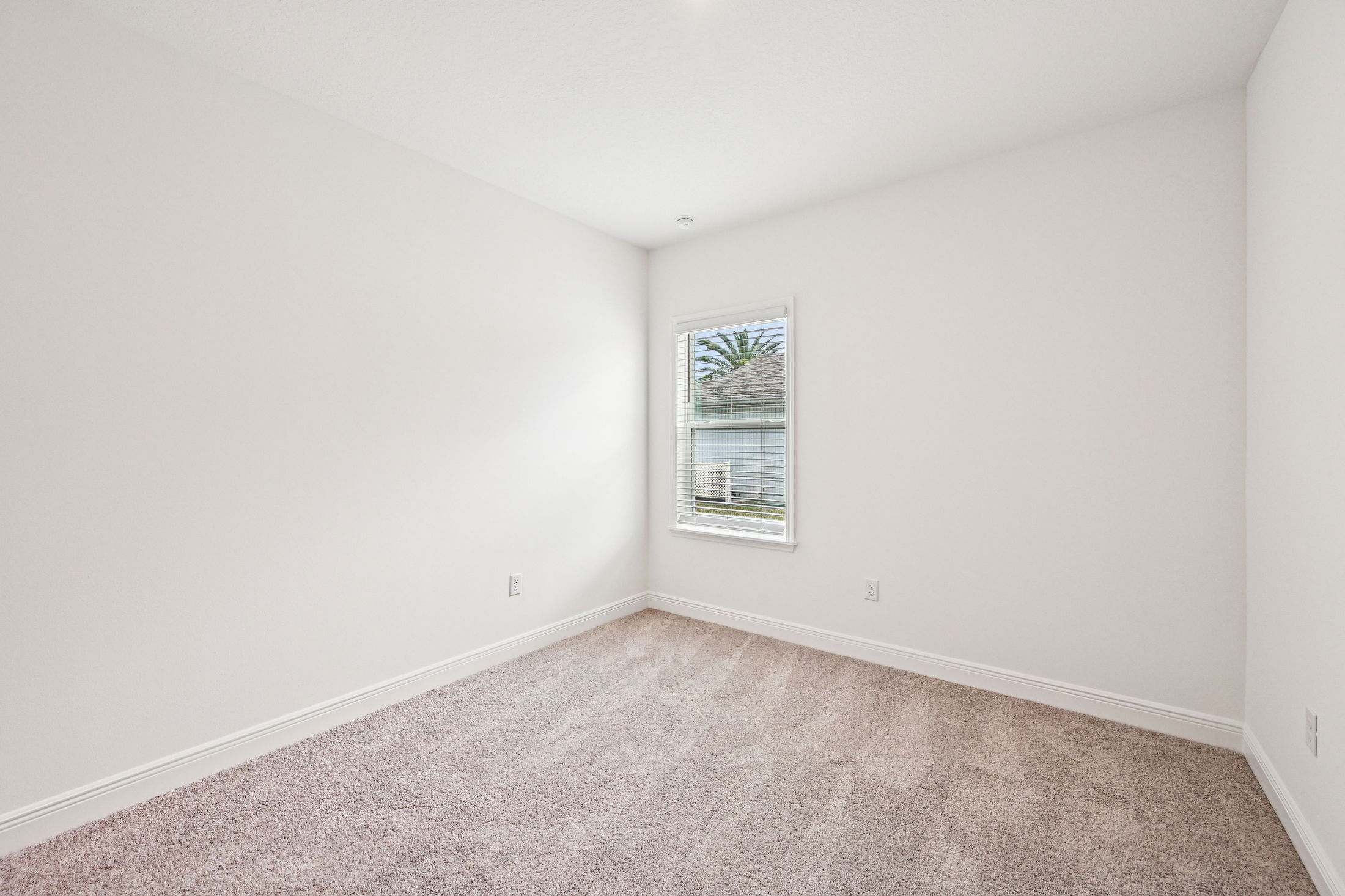 Bright and airy empty room featuring light-colored walls, plush carpet, and a window with blinds overlooking a palm tree.