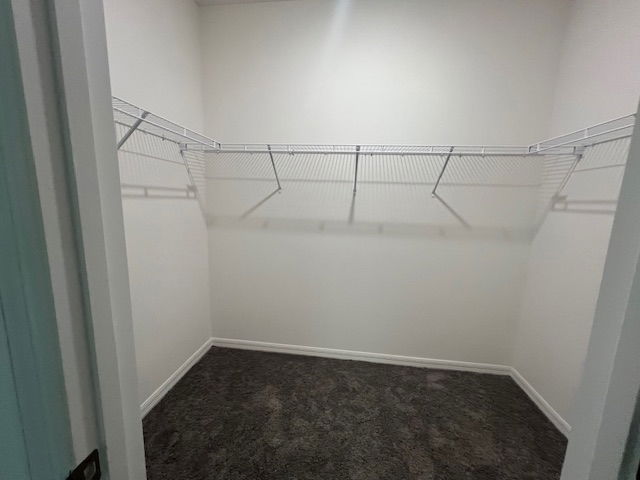 Empty walk-in closet with white walls, gray carpet, and metal wire shelving.